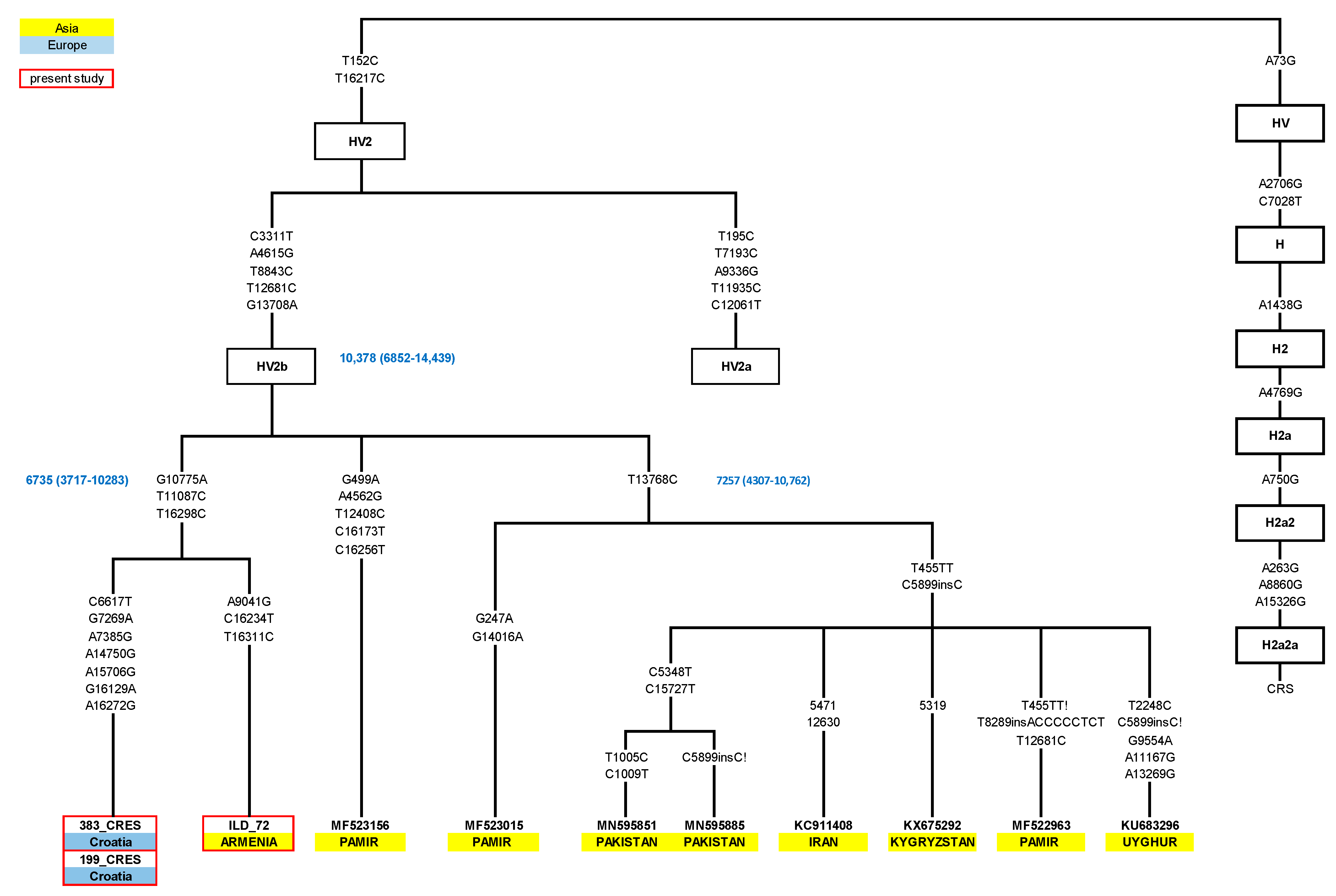 Genes 14 01614 g003 Genes 14 01614 g003