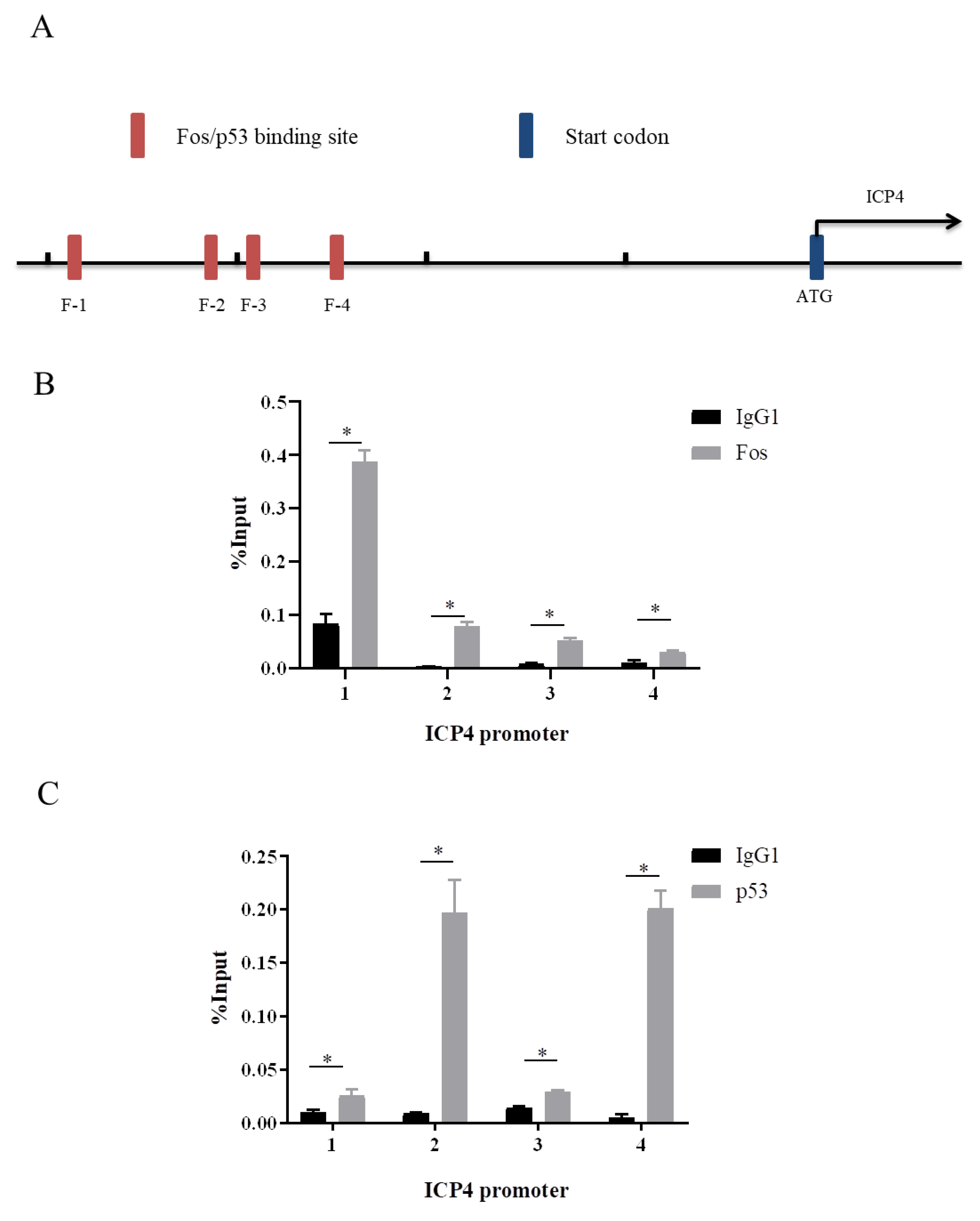 Genes 14 01615 g007 Genes 14 01615 g007