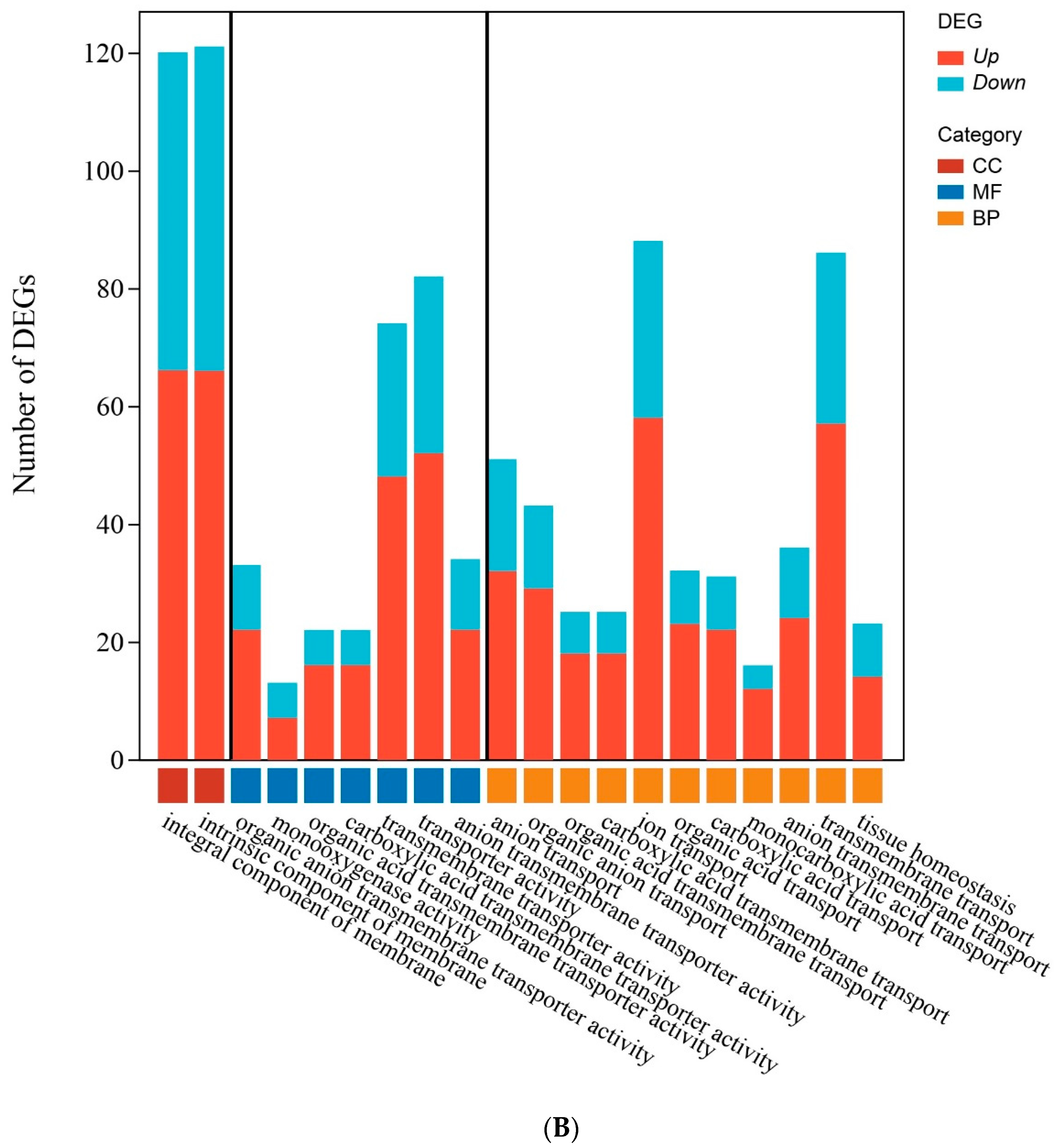 Genes 14 01616 g003b