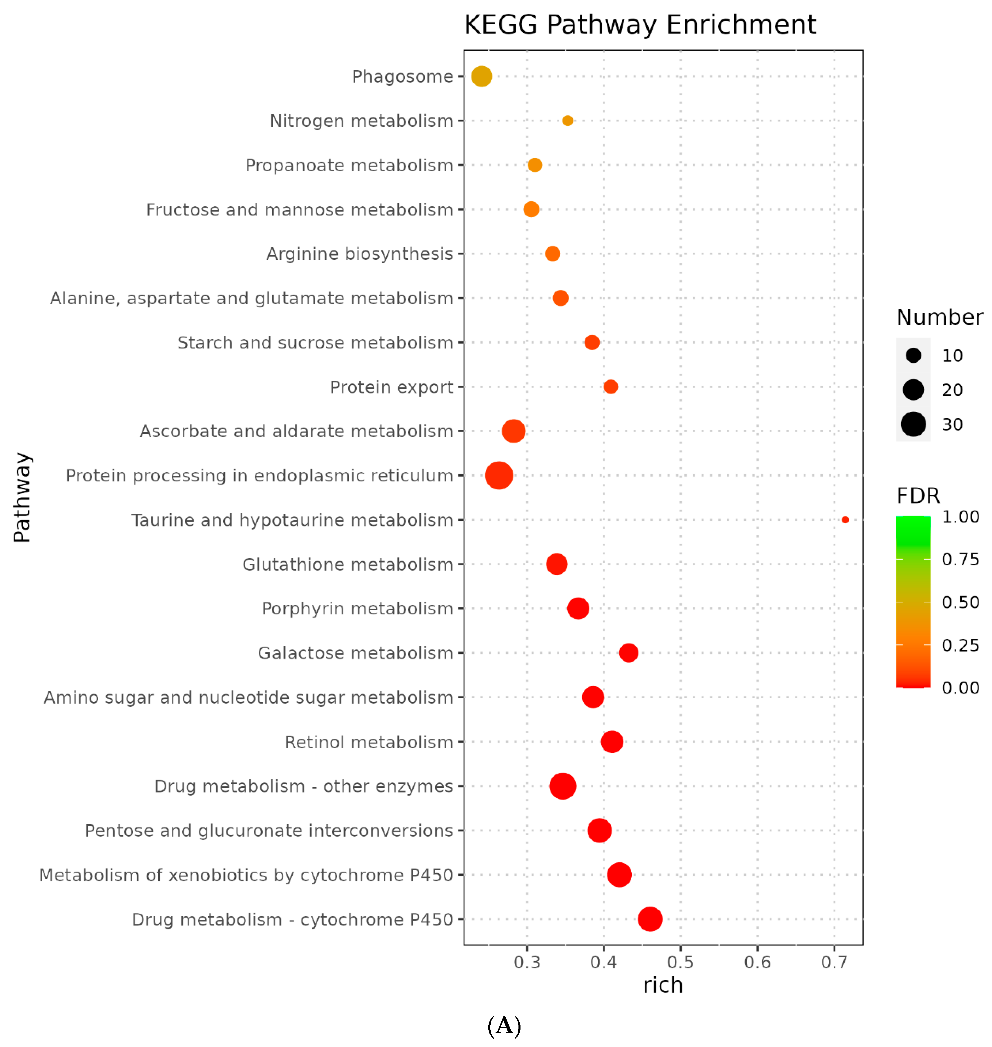 Genes 14 01616 g004a