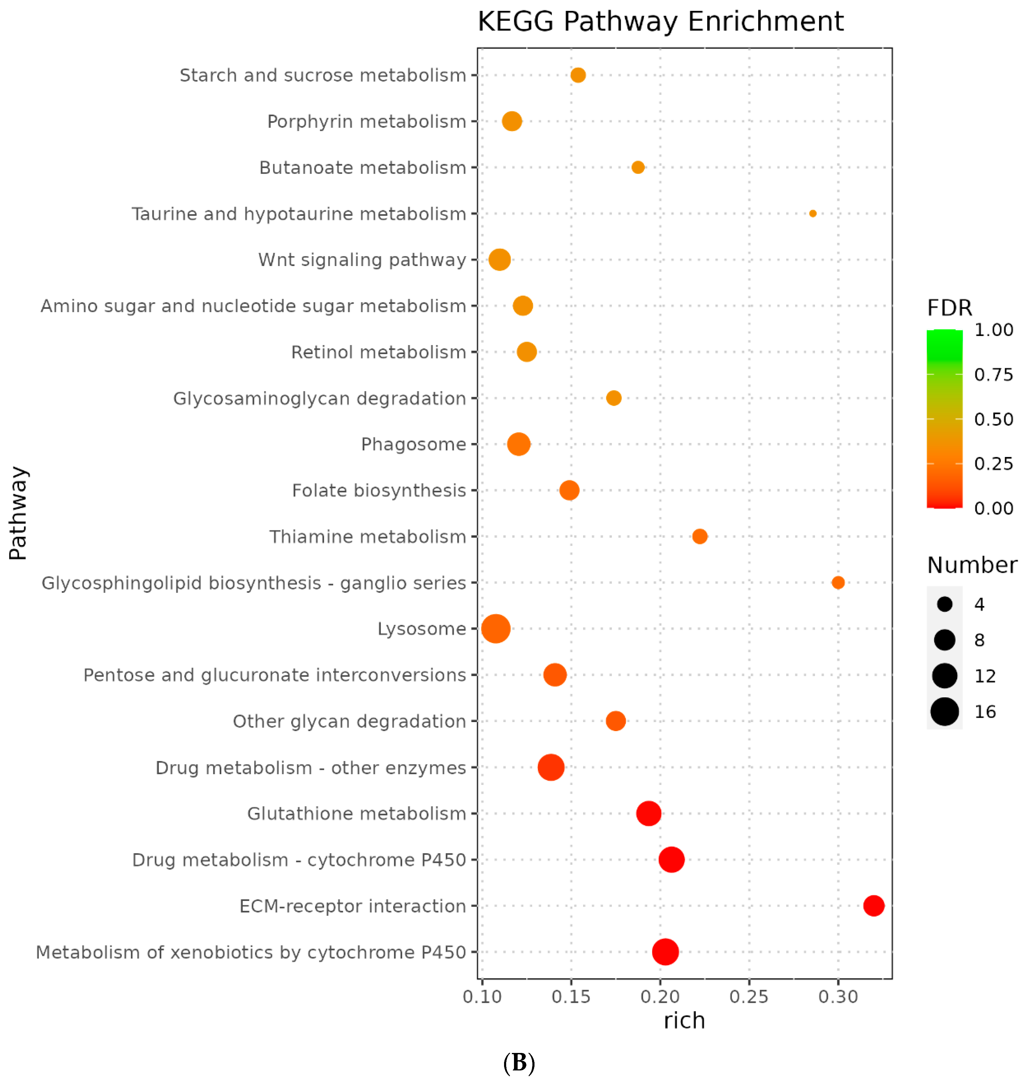 Genes 14 01616 g004b