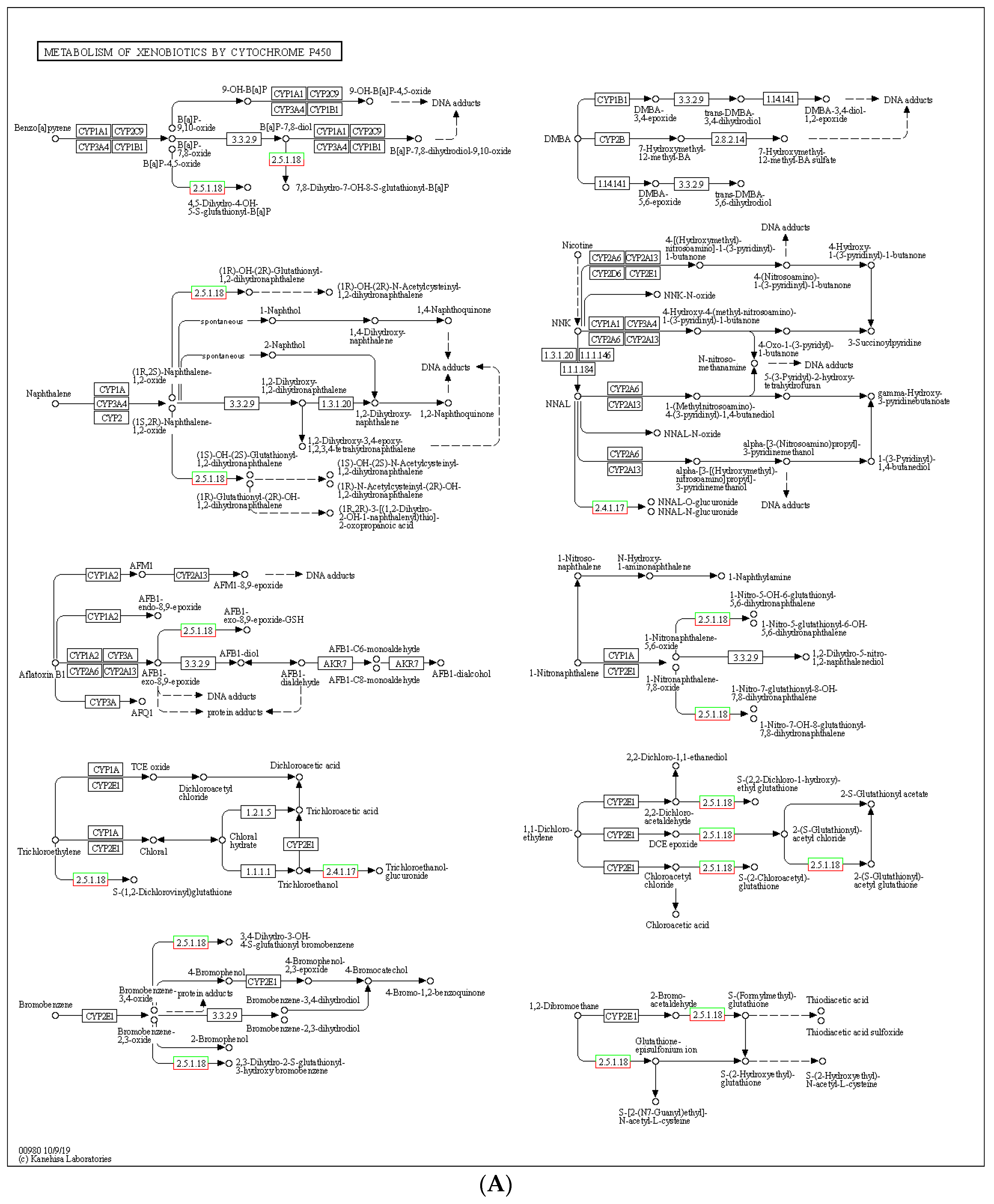 Genes 14 01616 g005a
