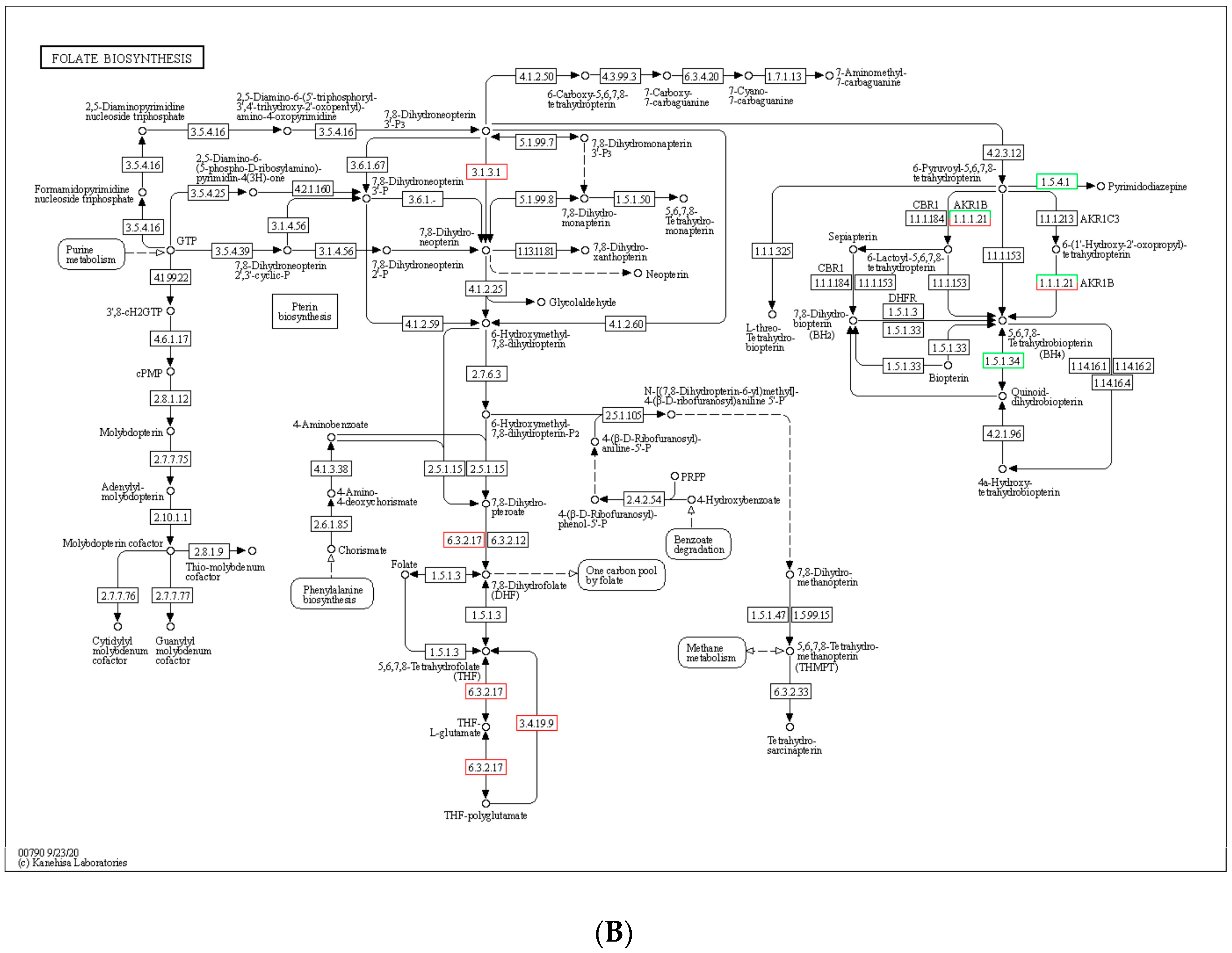 Genes 14 01616 g005b