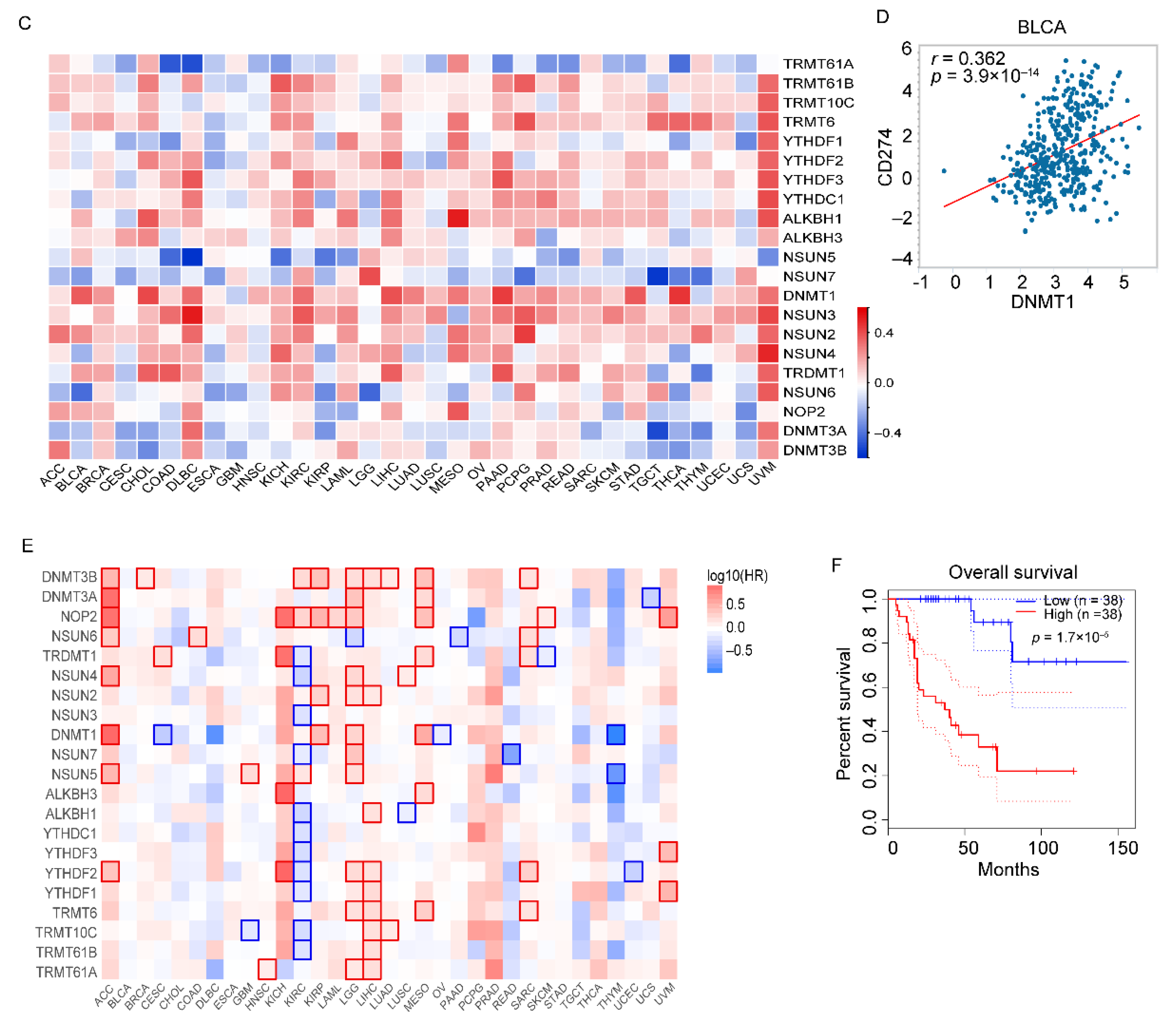 Genes 14 01620 g005b