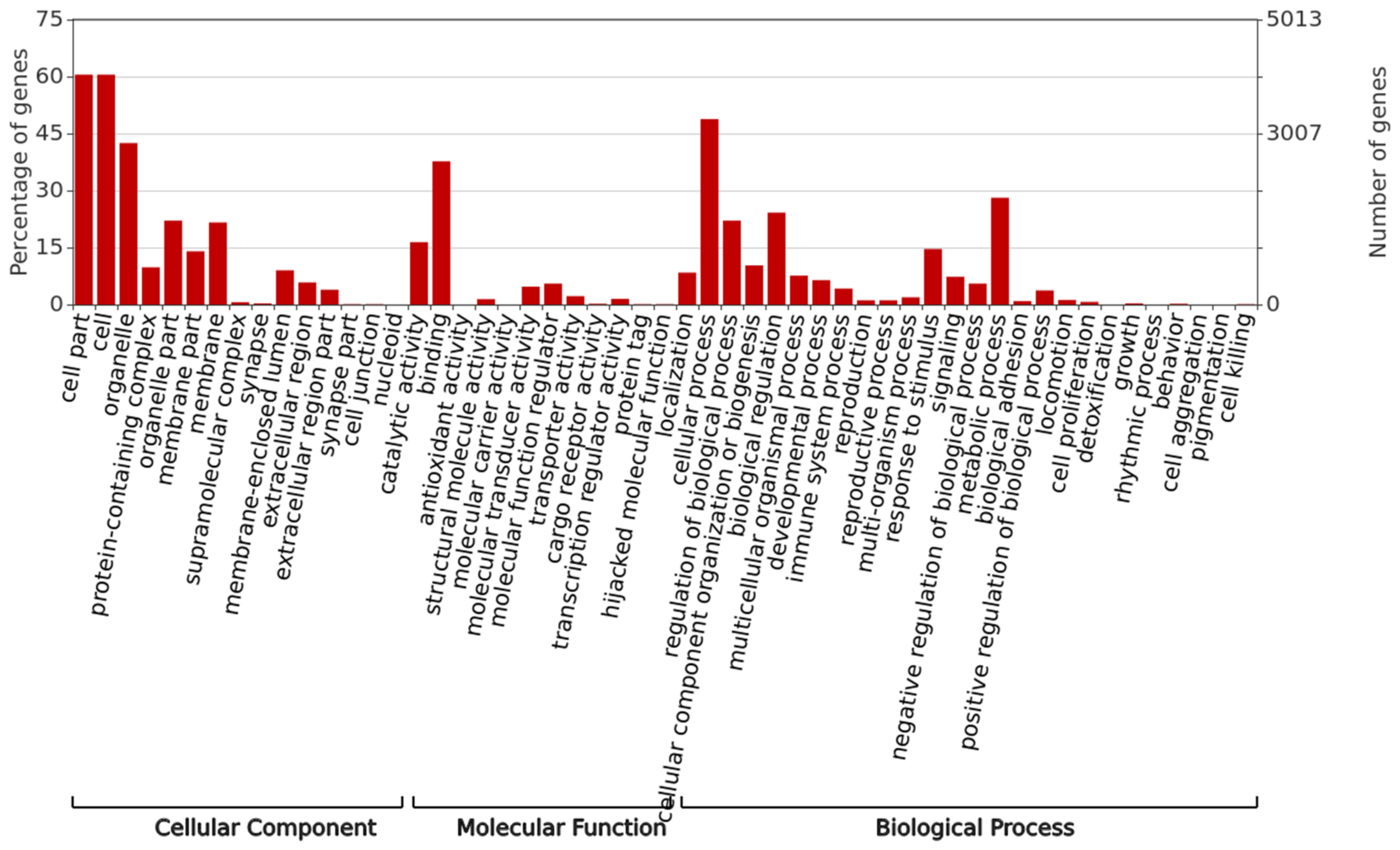 Genes 14 01623 g005 Genes 14 01623 g005