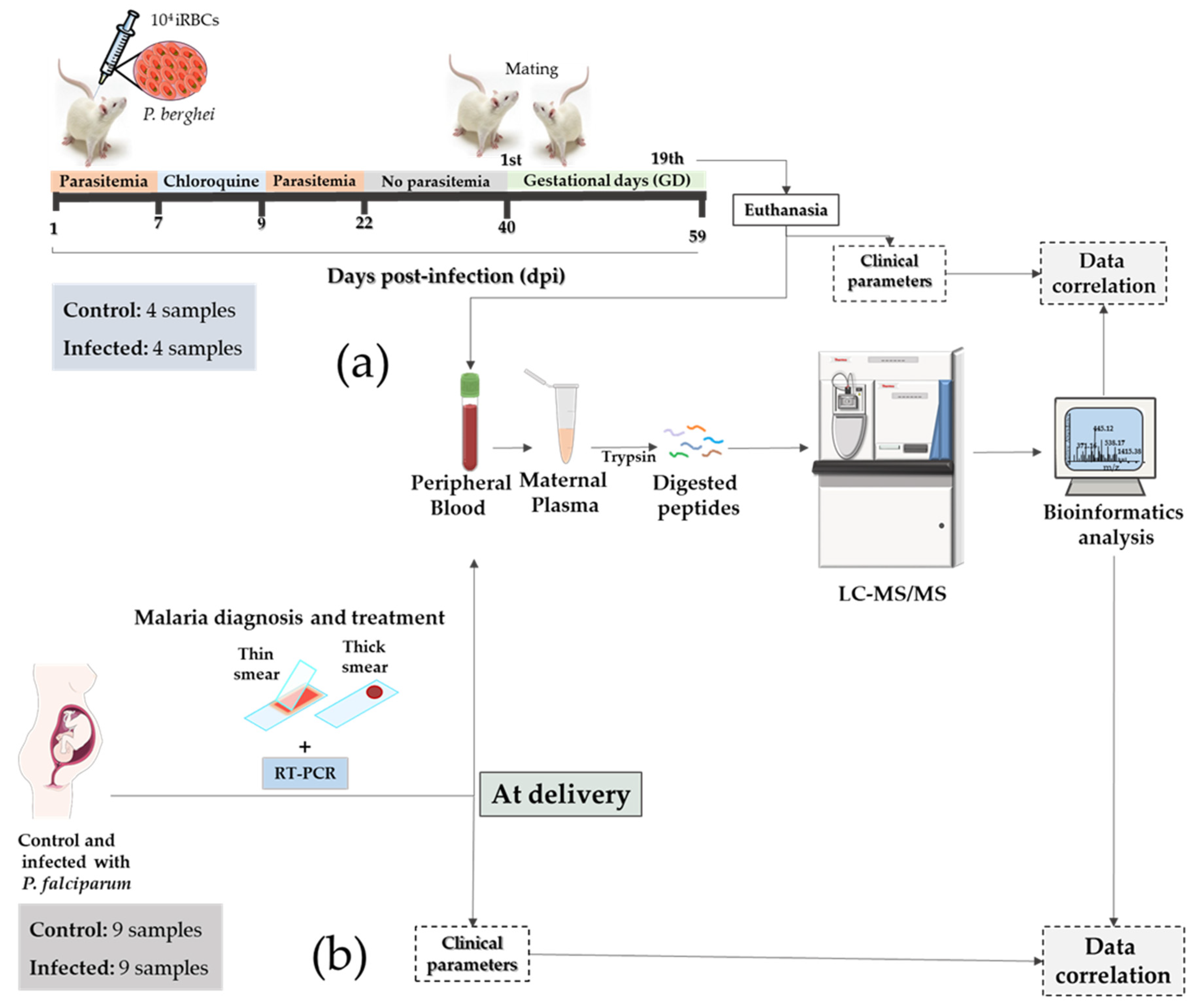 Genes 14 01624 g001 Genes 14 01624 g001
