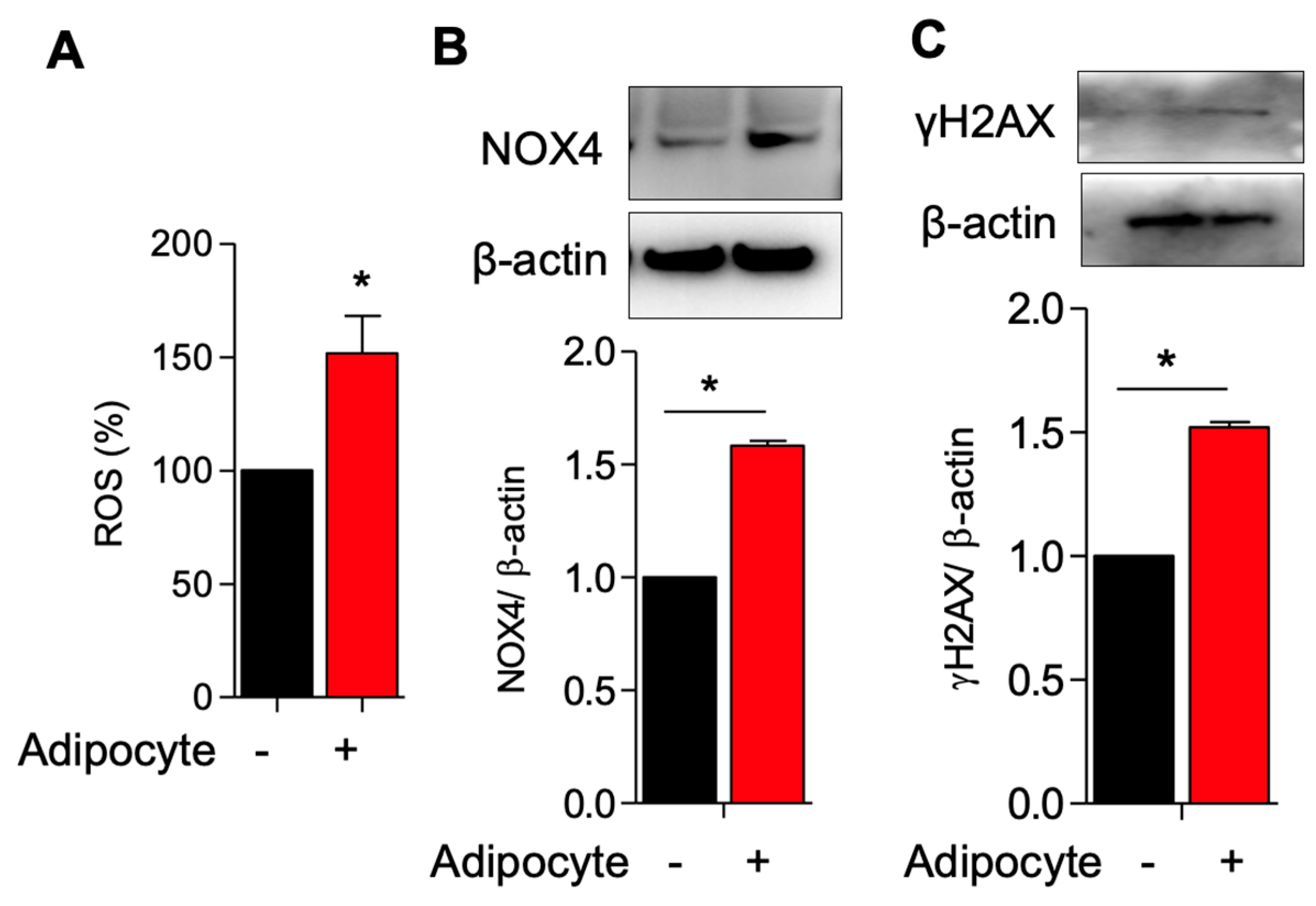 Genes 14 01625 g001 Genes 14 01625 g001