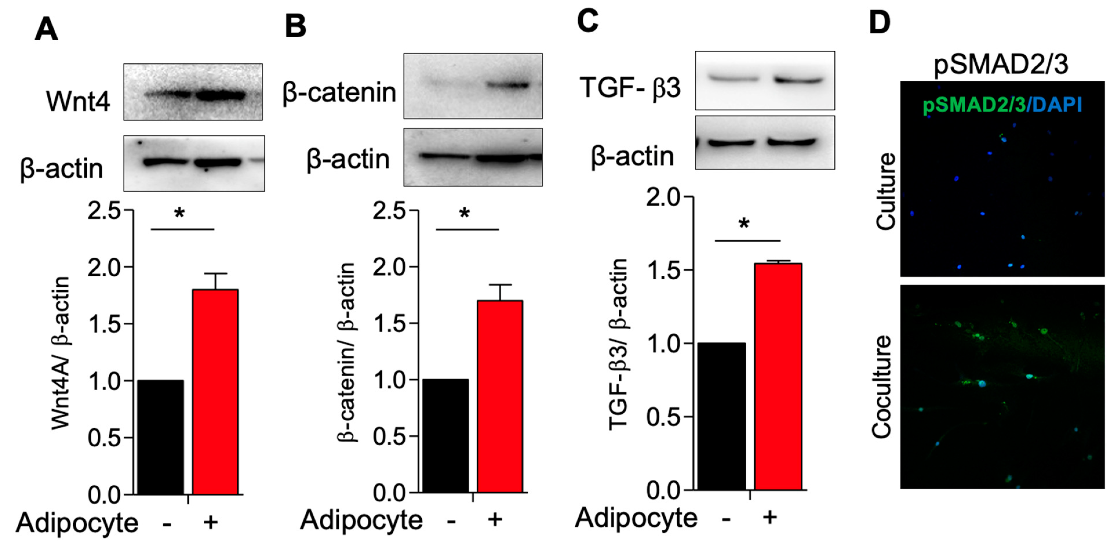 Genes 14 01625 g003 Genes 14 01625 g003
