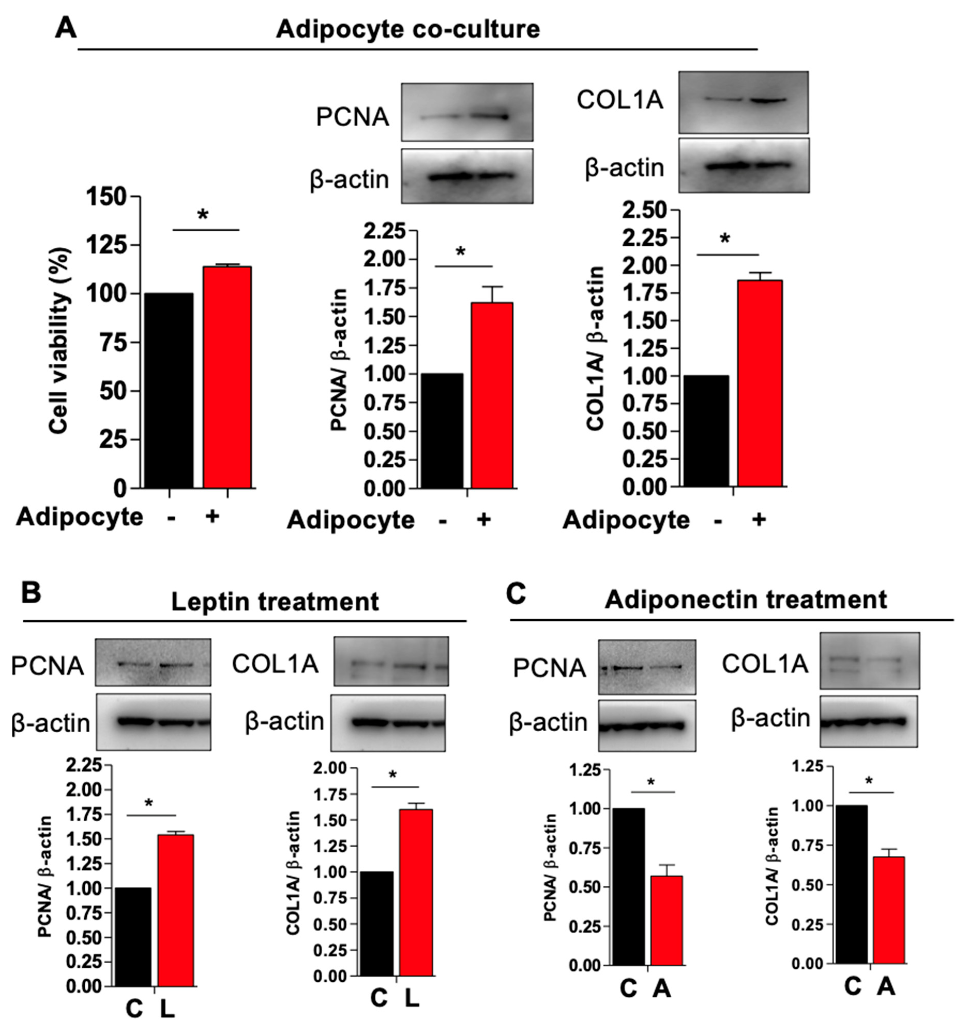 Genes 14 01625 g004 Genes 14 01625 g004