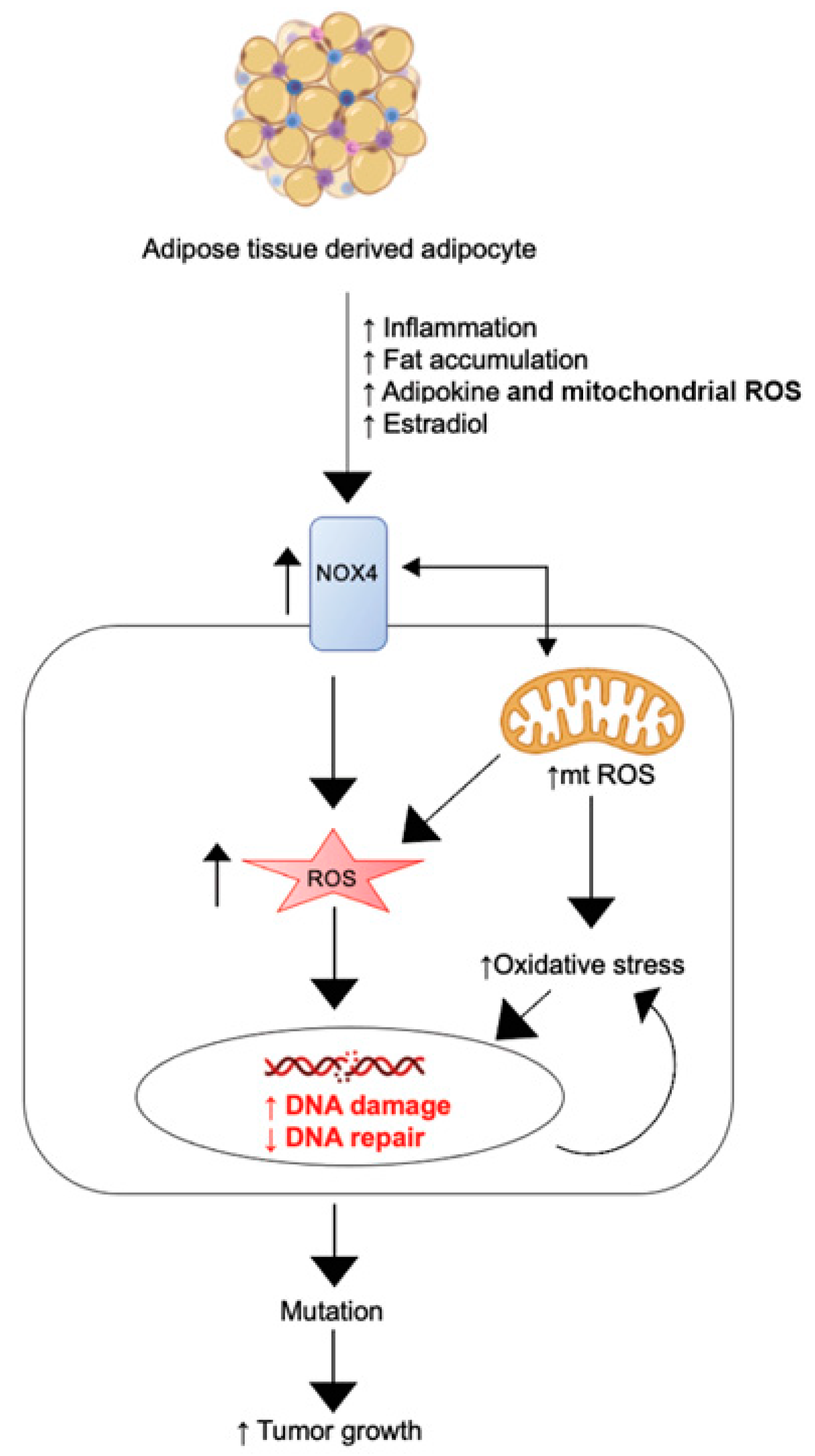 Genes 14 01625 g005 Genes 14 01625 g005