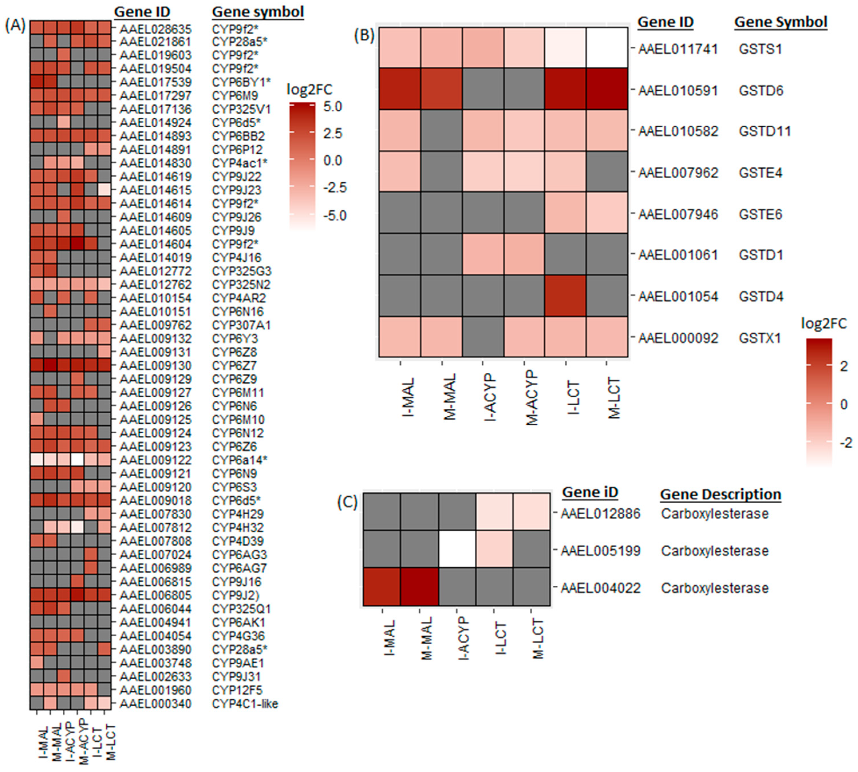 Genes 14 01626 g004 Genes 14 01626 g004