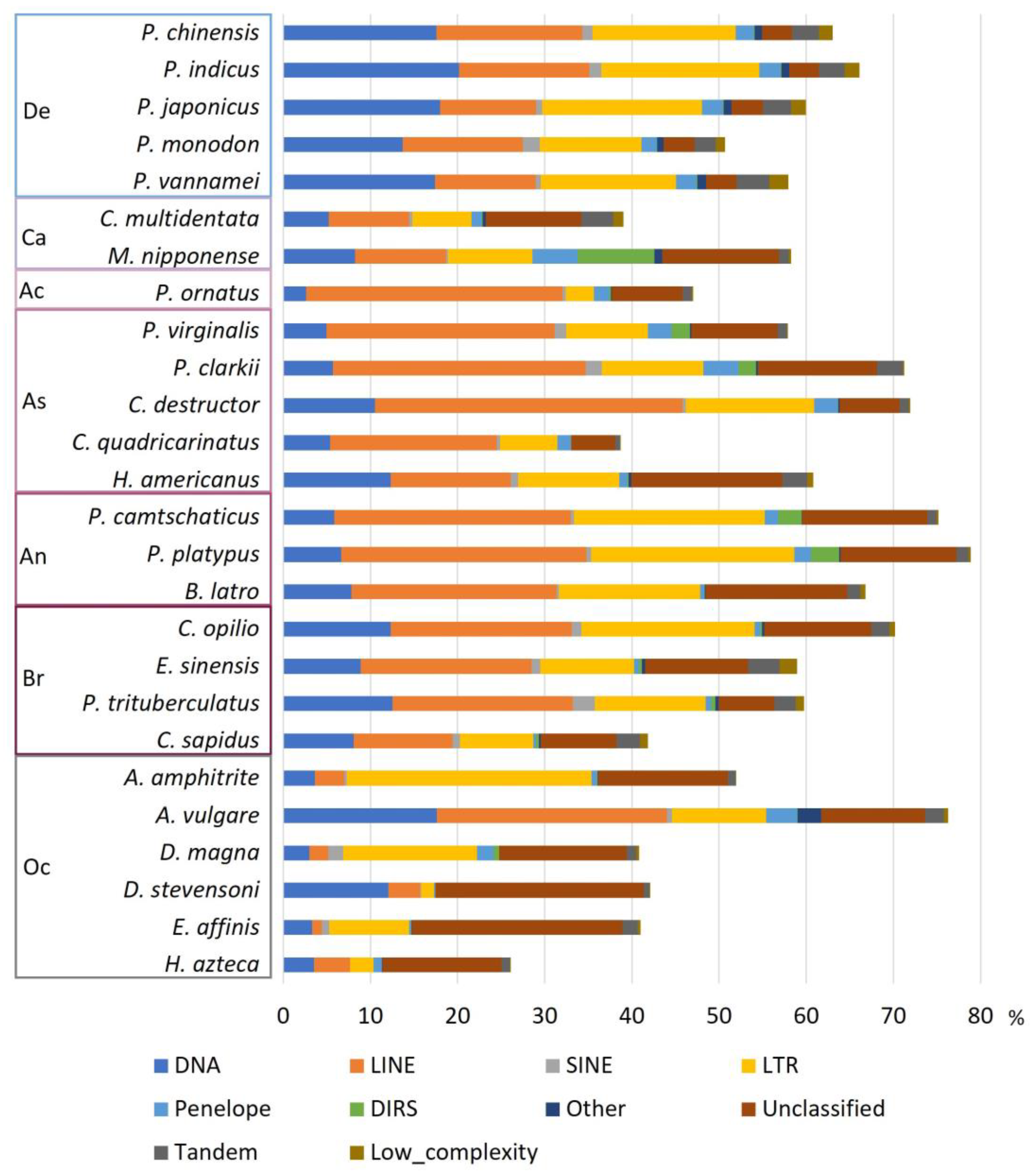 Genes 14 01627 g002 Genes 14 01627 g002