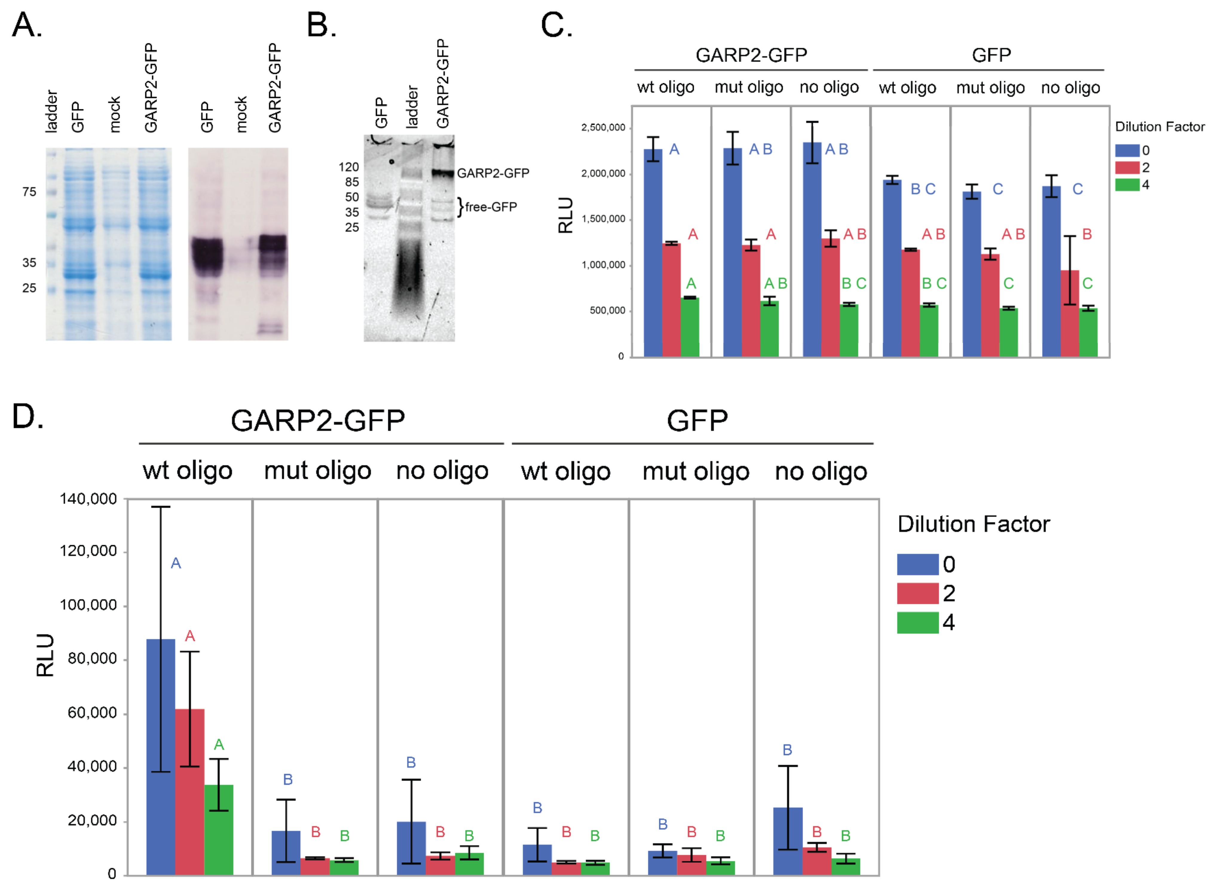 Genes 14 01638 g002