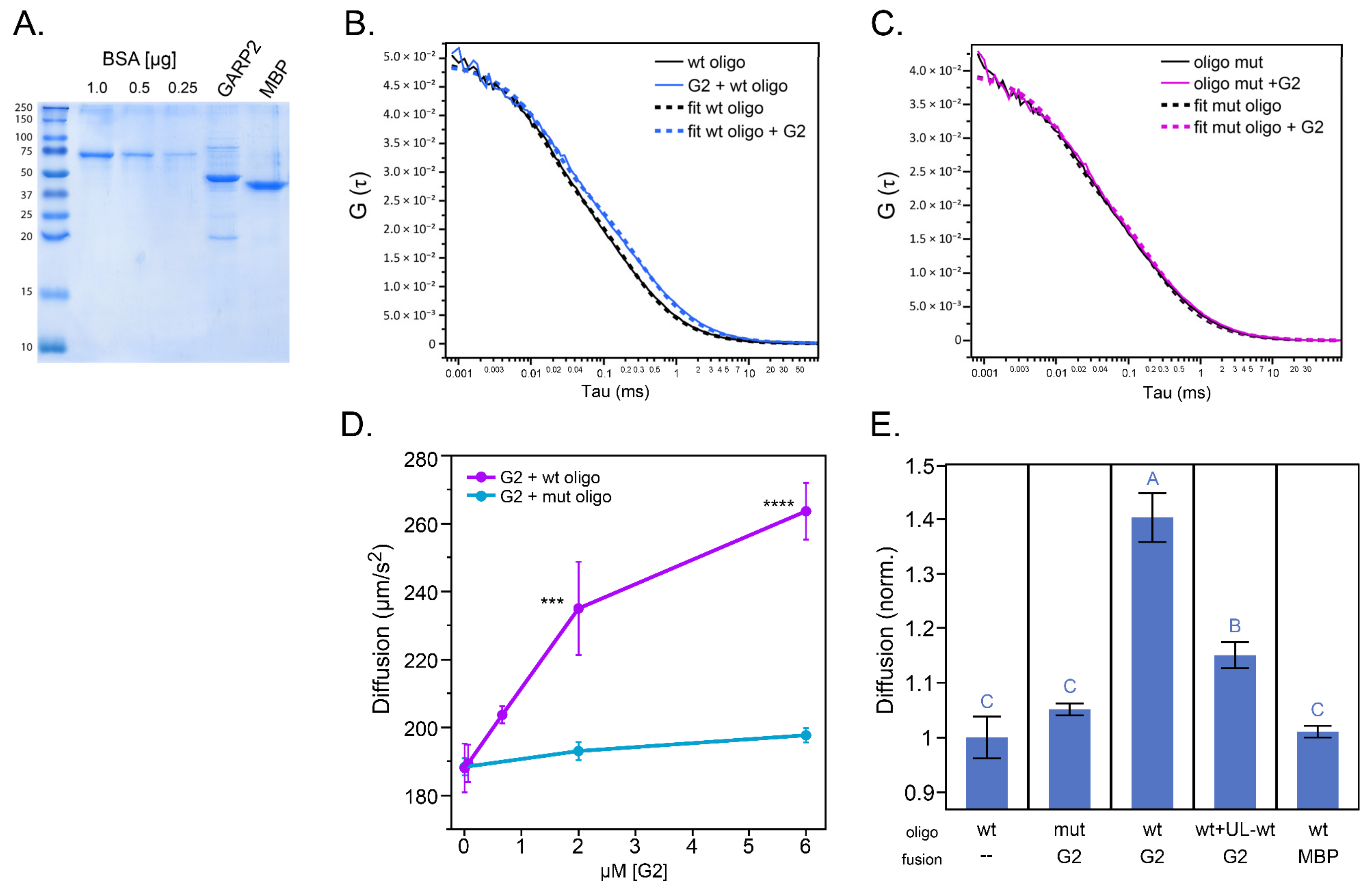 Genes 14 01638 g003