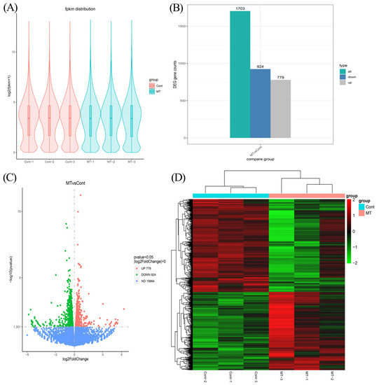 Combine with RNA-seq Reveals the Effect of Melatonin in the