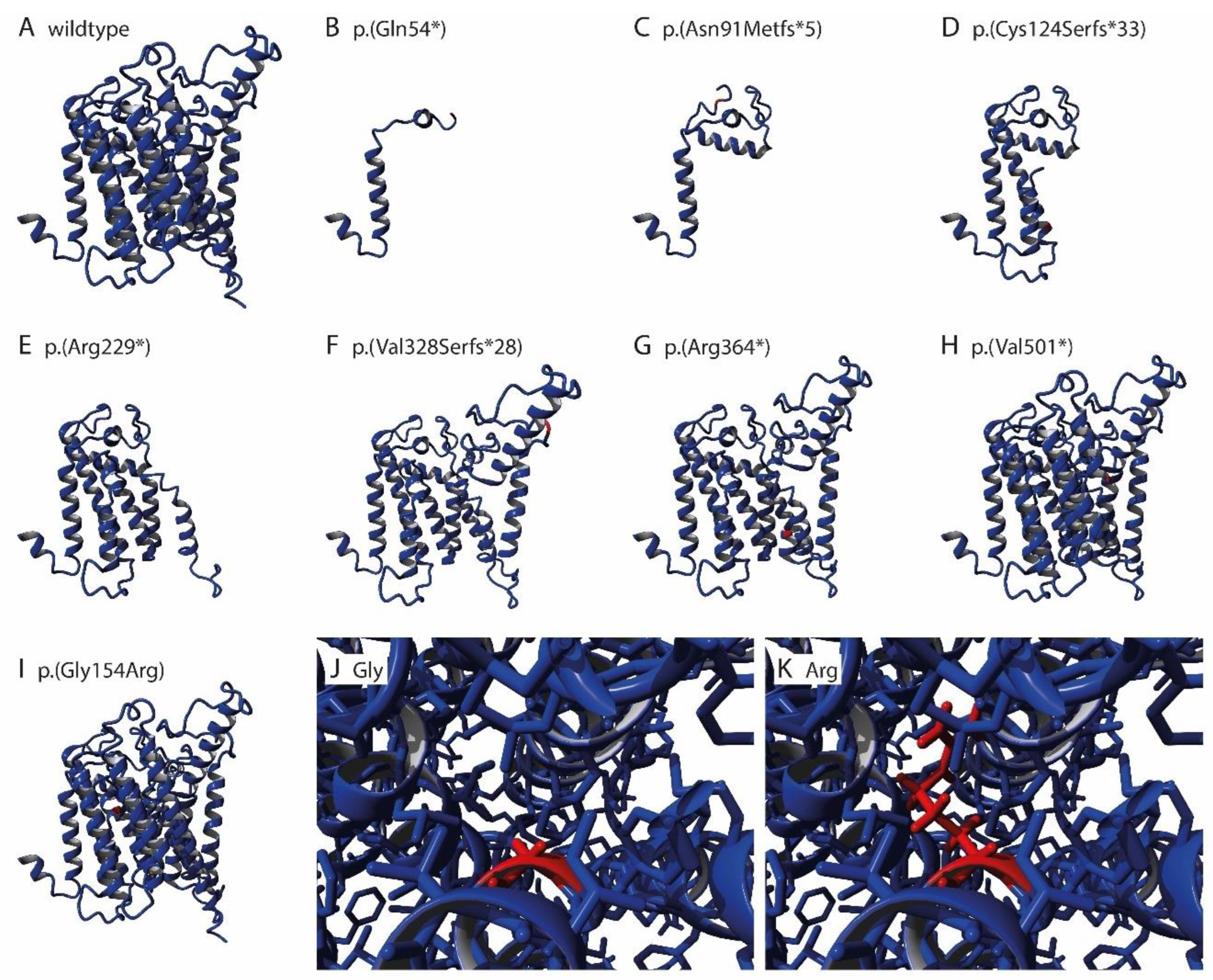 Genes 14 01652 g003a