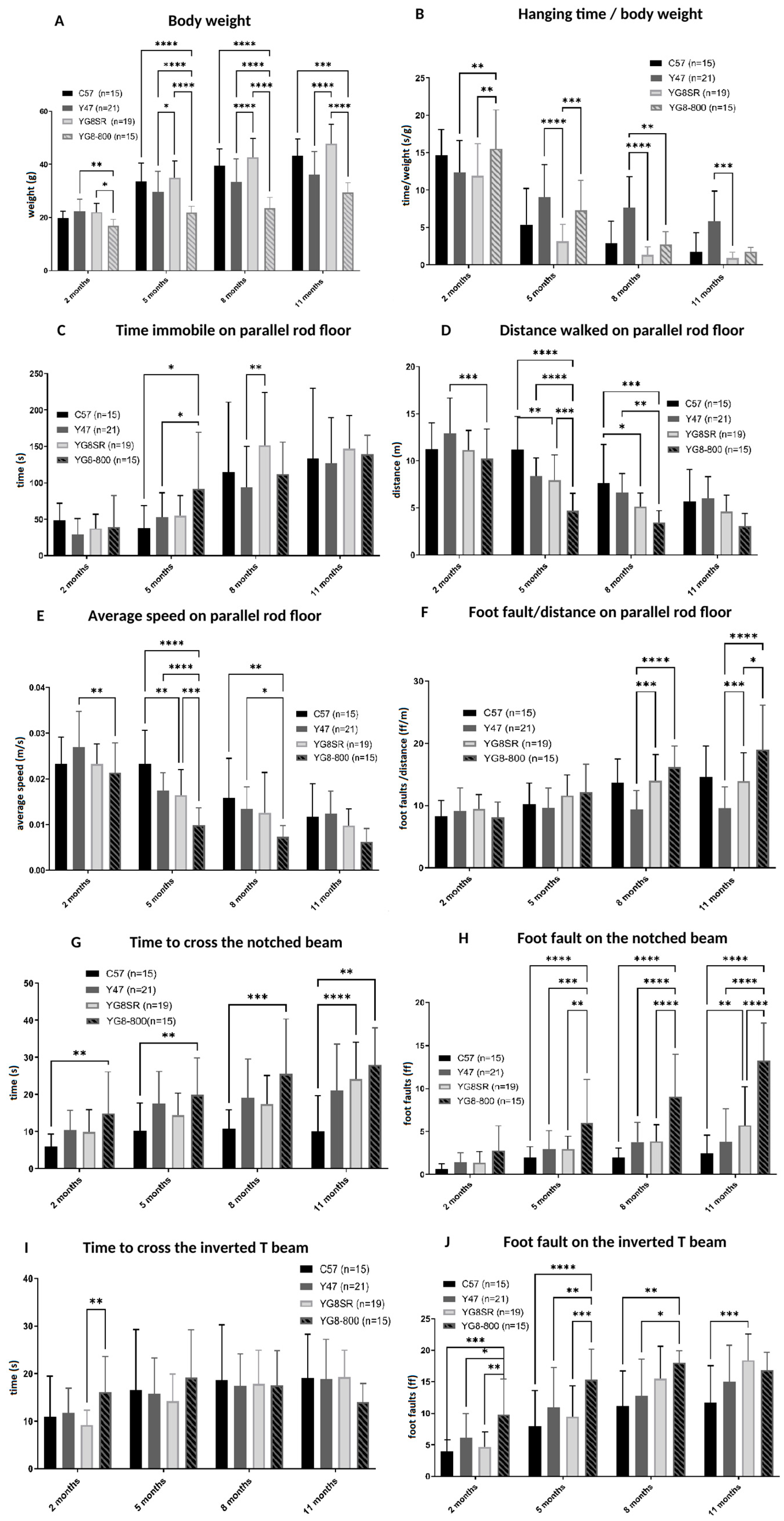Genes 14 01654 g002