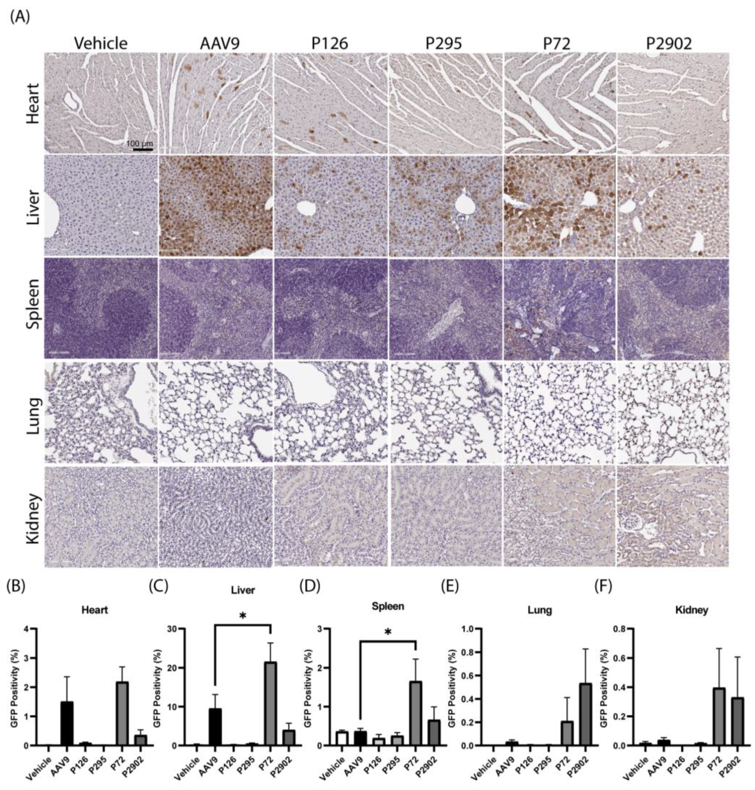 Genes 14 01660 g004 Genes 14 01660 g004