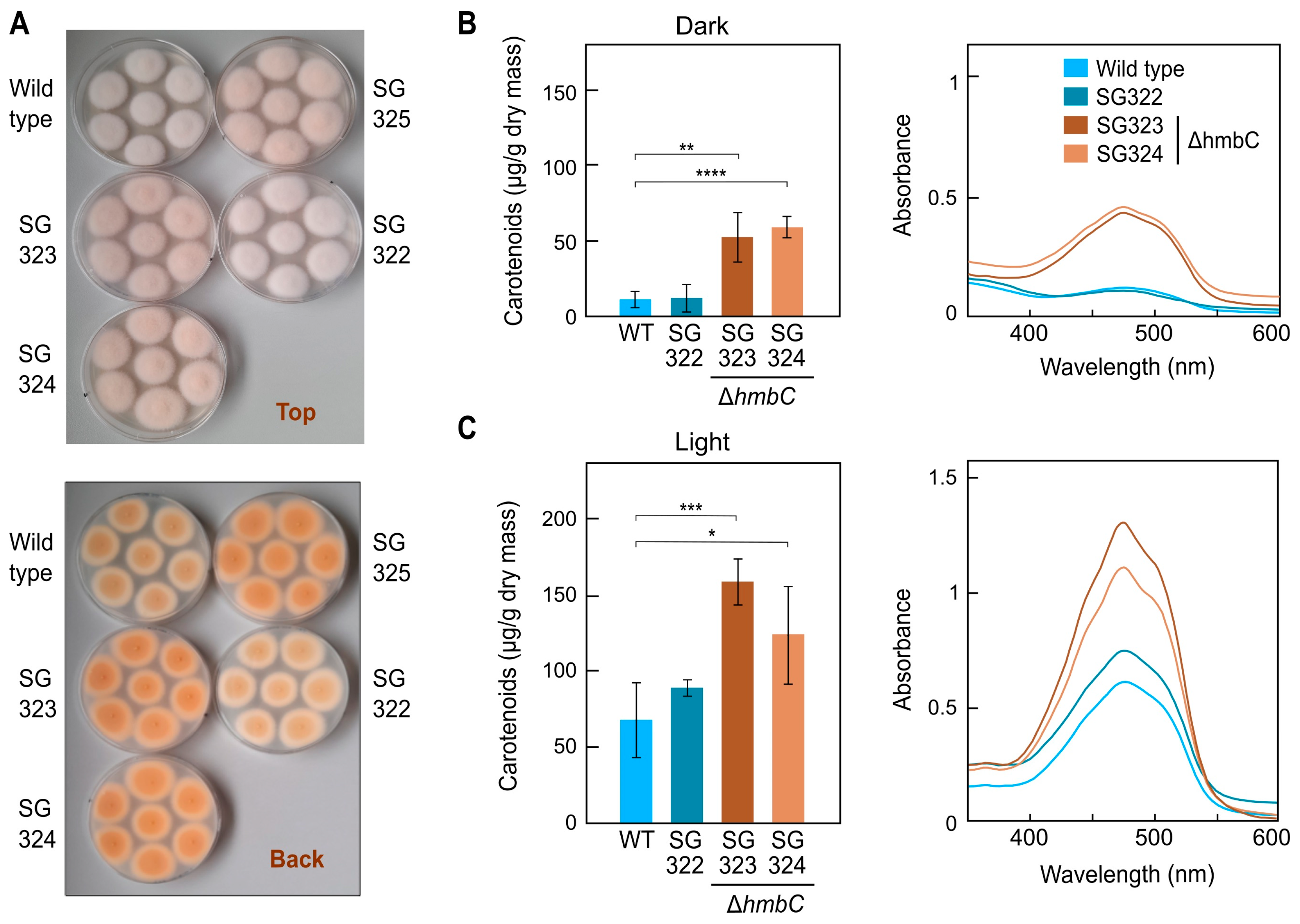 Genes 14 01661 g002 Genes 14 01661 g002
