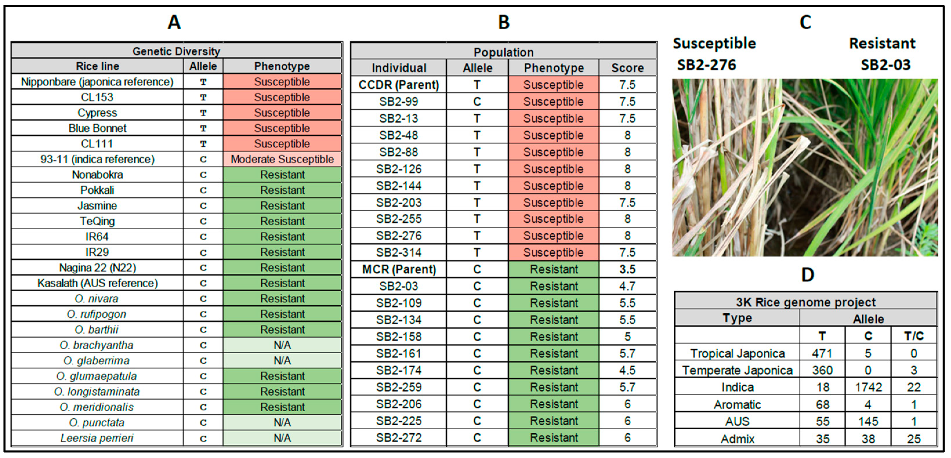 Genes 14 01673 g003 Genes 14 01673 g003