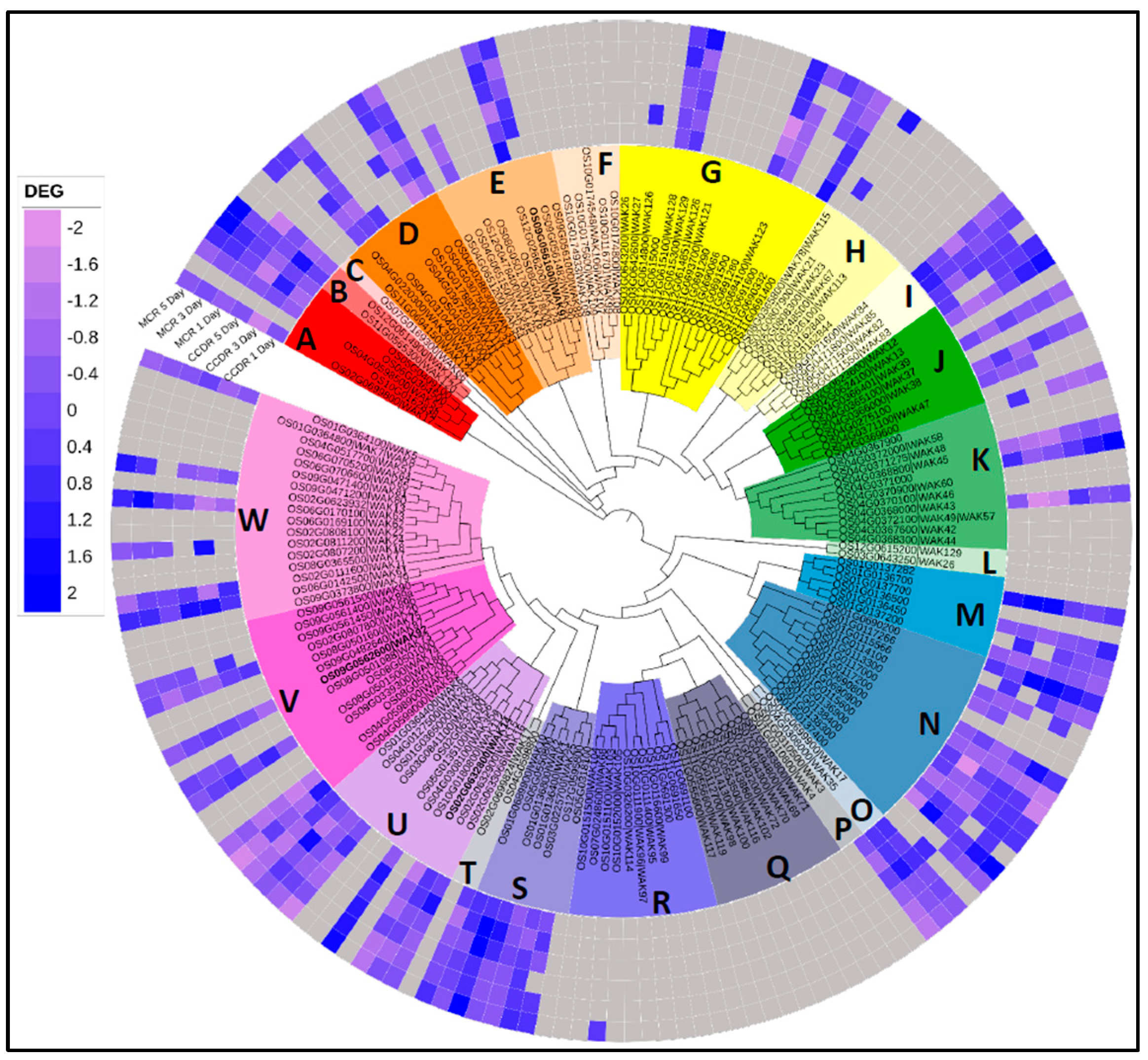 Genes 14 01673 g004 Genes 14 01673 g004