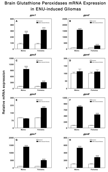 Glutathione Peroxidase gpx1 to gpx8 Genes Expression in Experimental Brain  Tumors Reveals Gender-Dependent Patterns