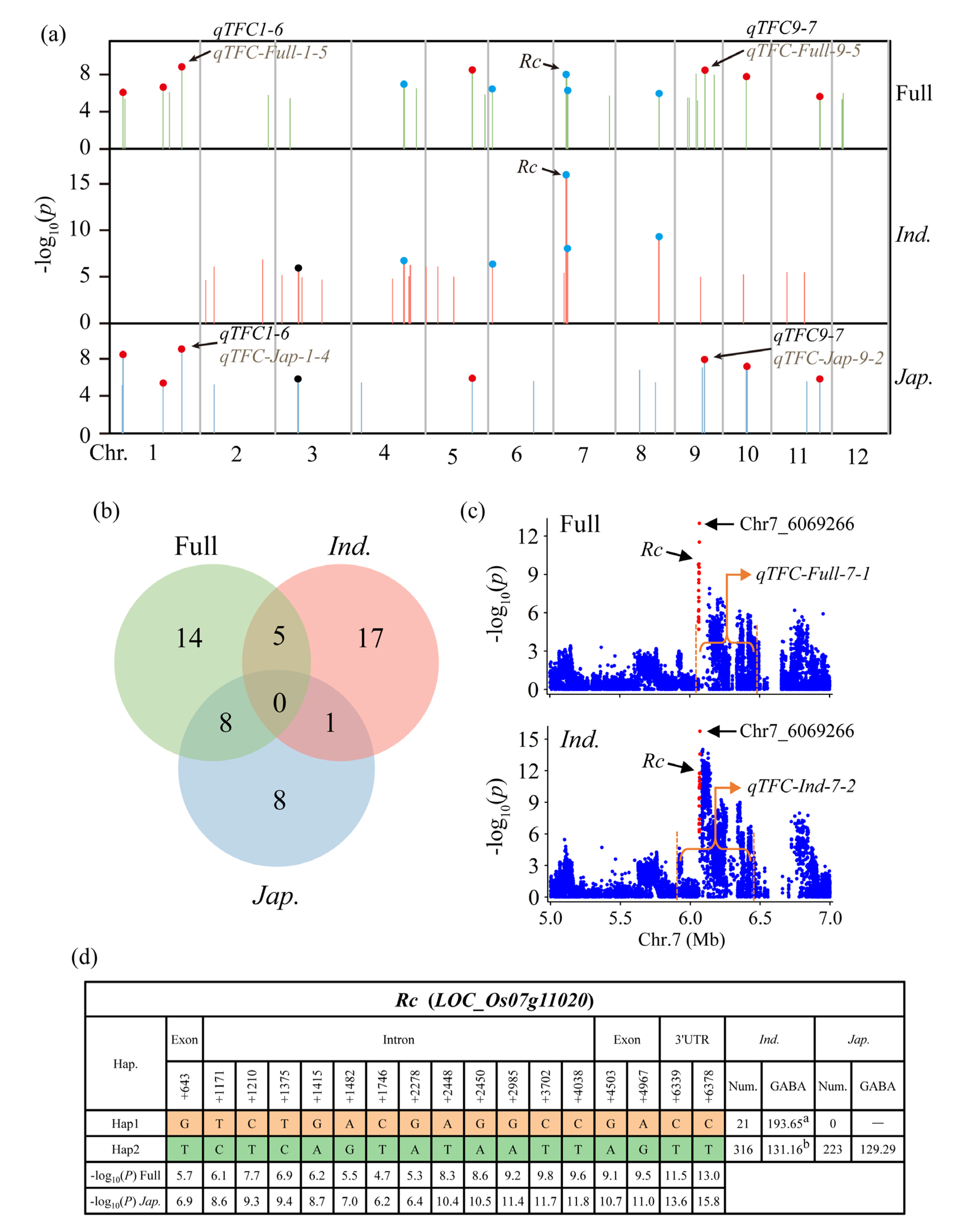 Genes 14 01684 g003