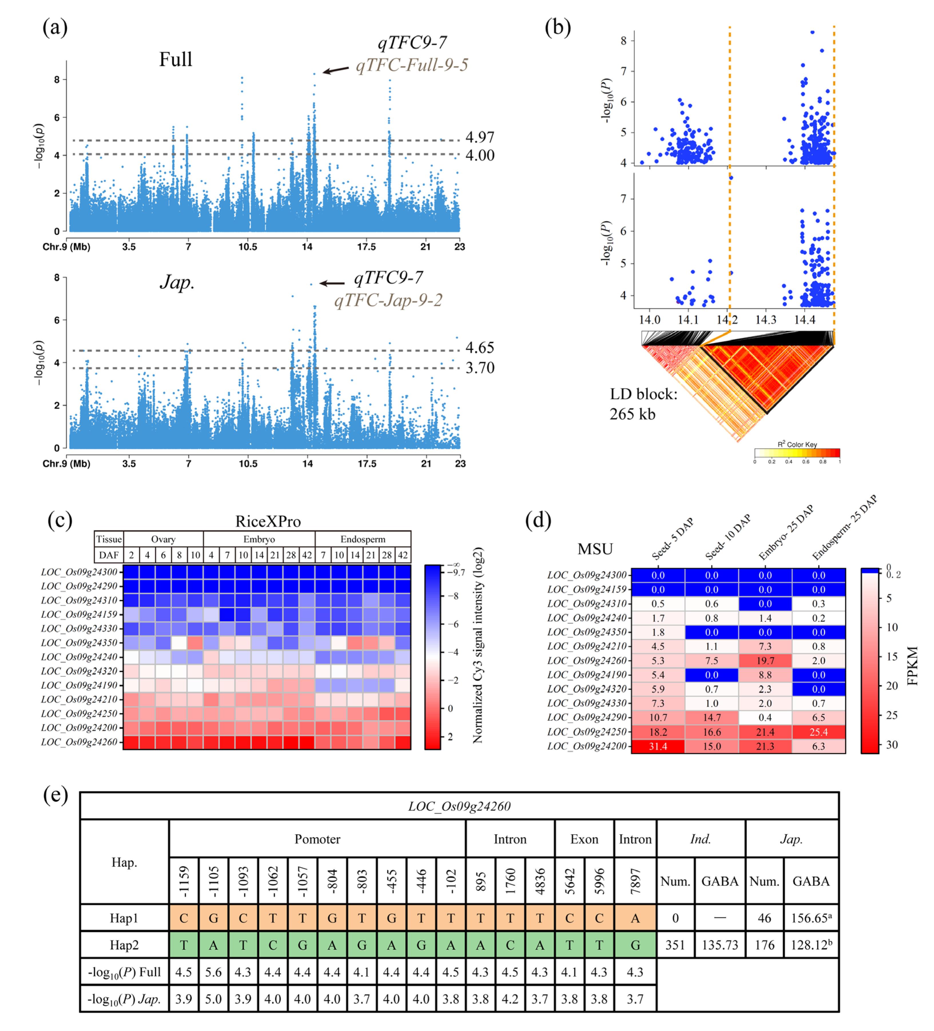 Genes 14 01684 g005