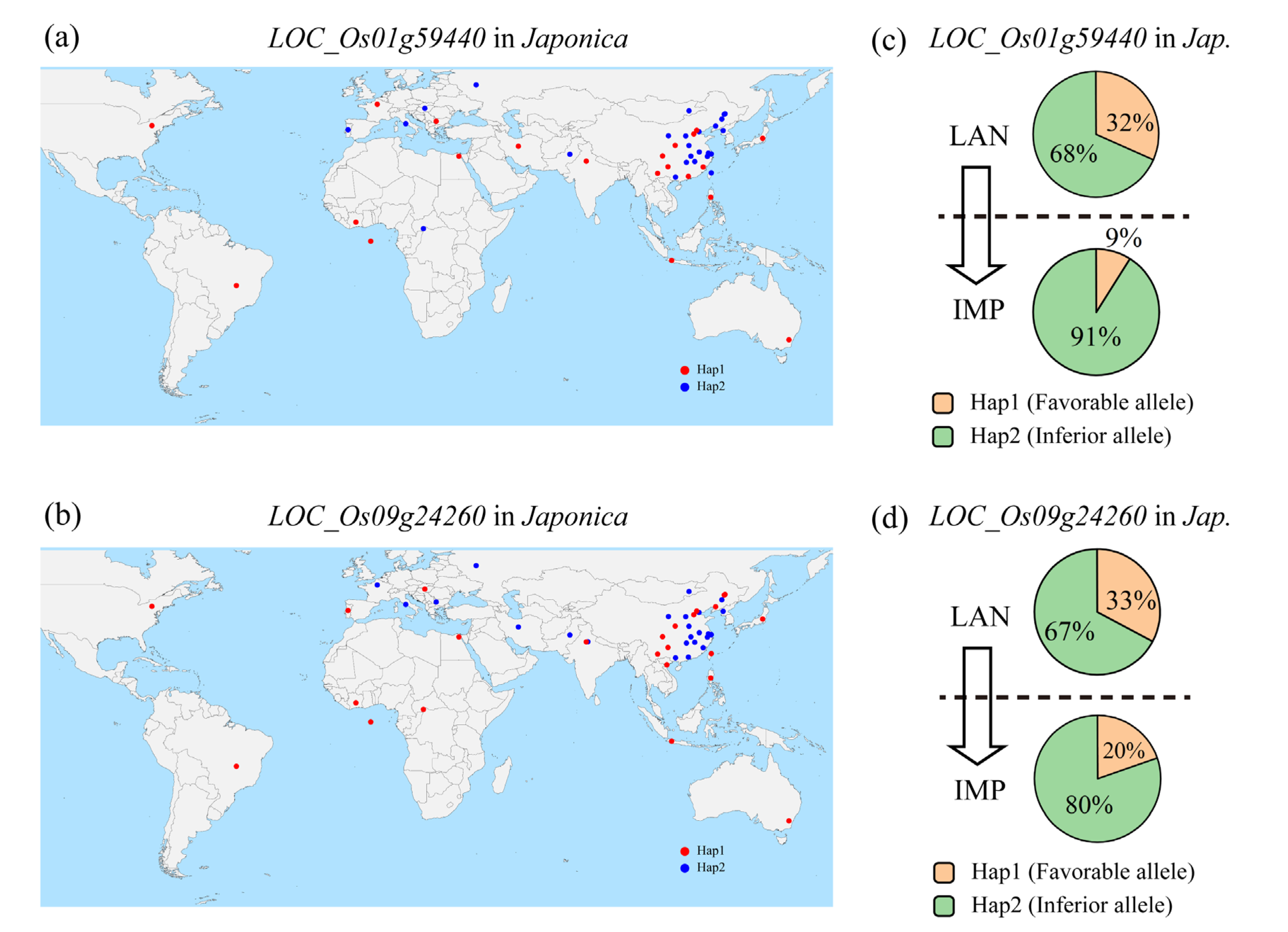 Genes 14 01684 g006