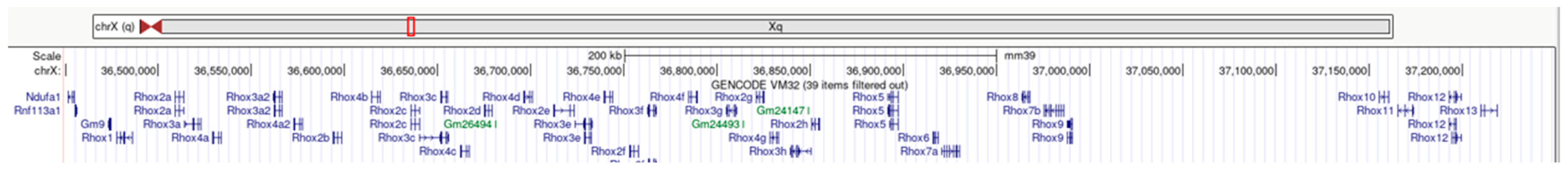 Genes 14 01685 g001