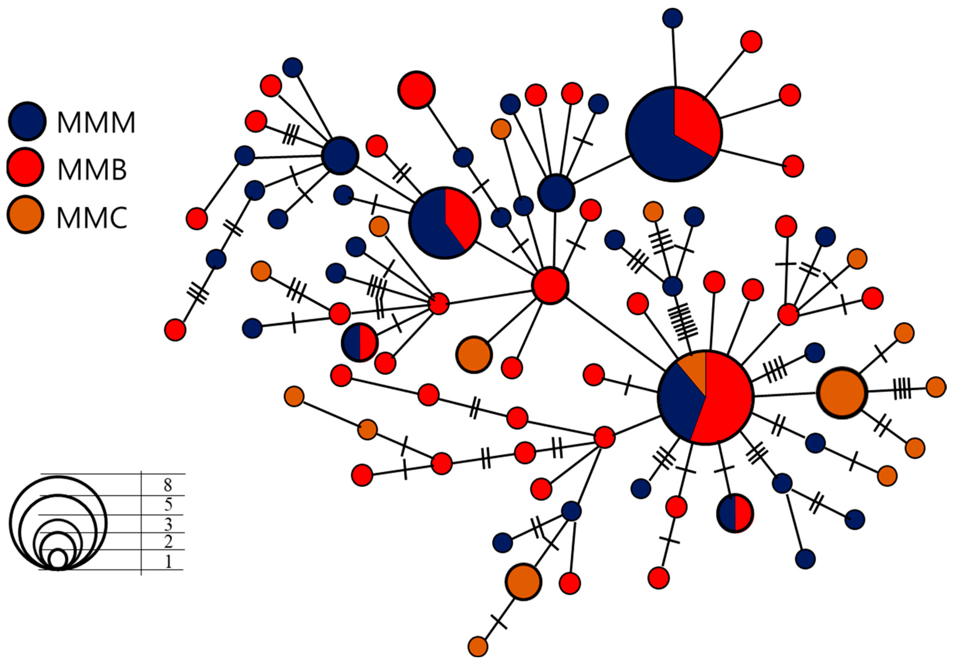 Genes 14 01692 g003 Genes 14 01692 g003