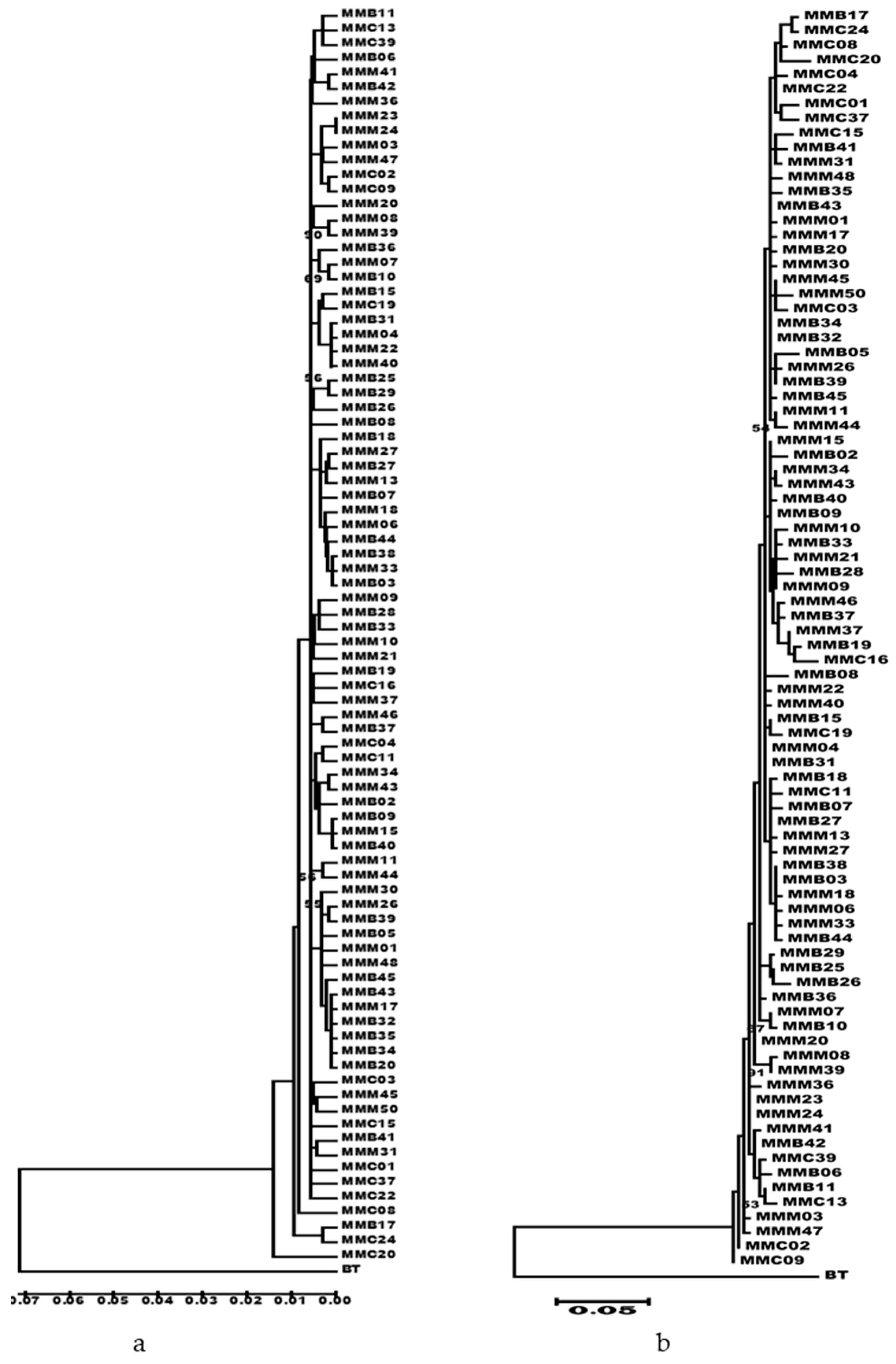 Genes 14 01692 g004 Genes 14 01692 g004
