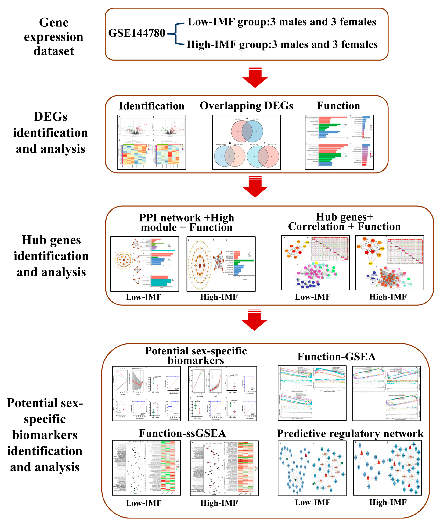 Genes 14 01695 g001 Genes 14 01695 g001