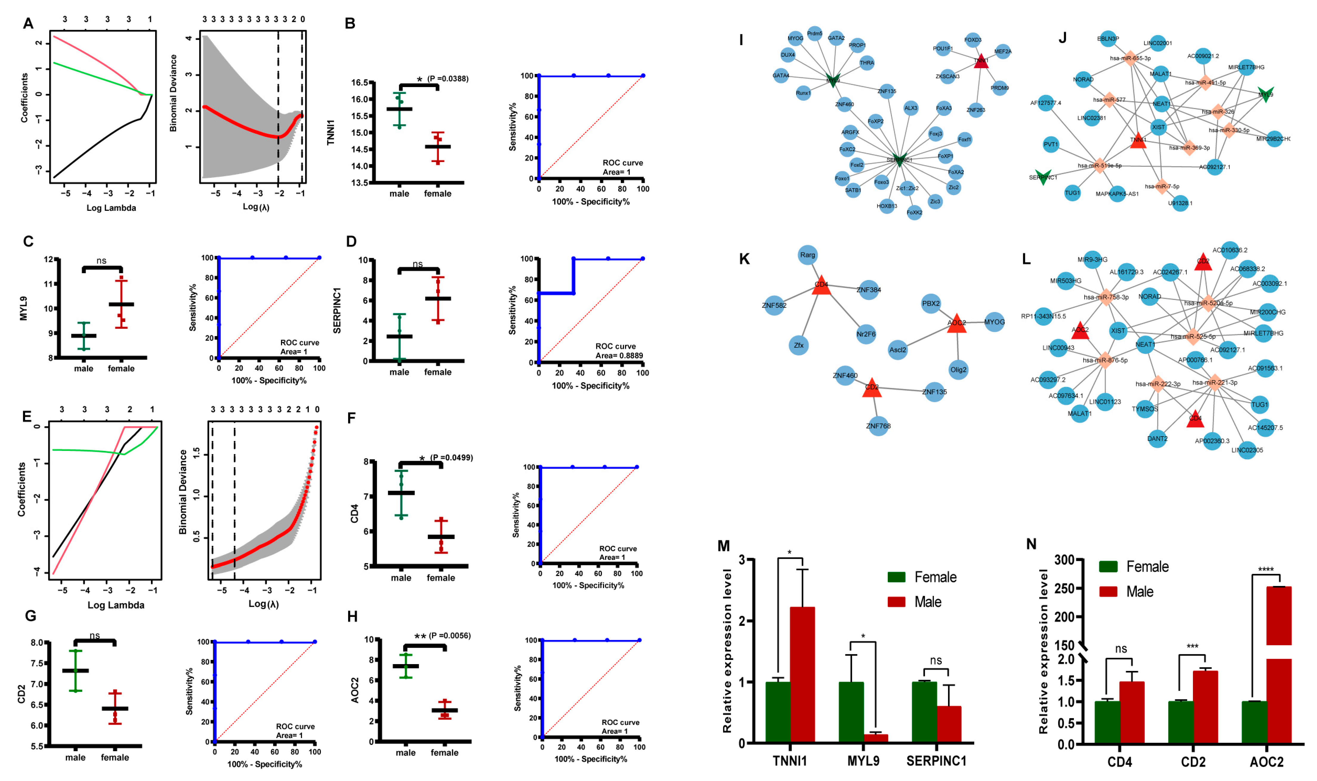 Genes 14 01695 g004 Genes 14 01695 g004