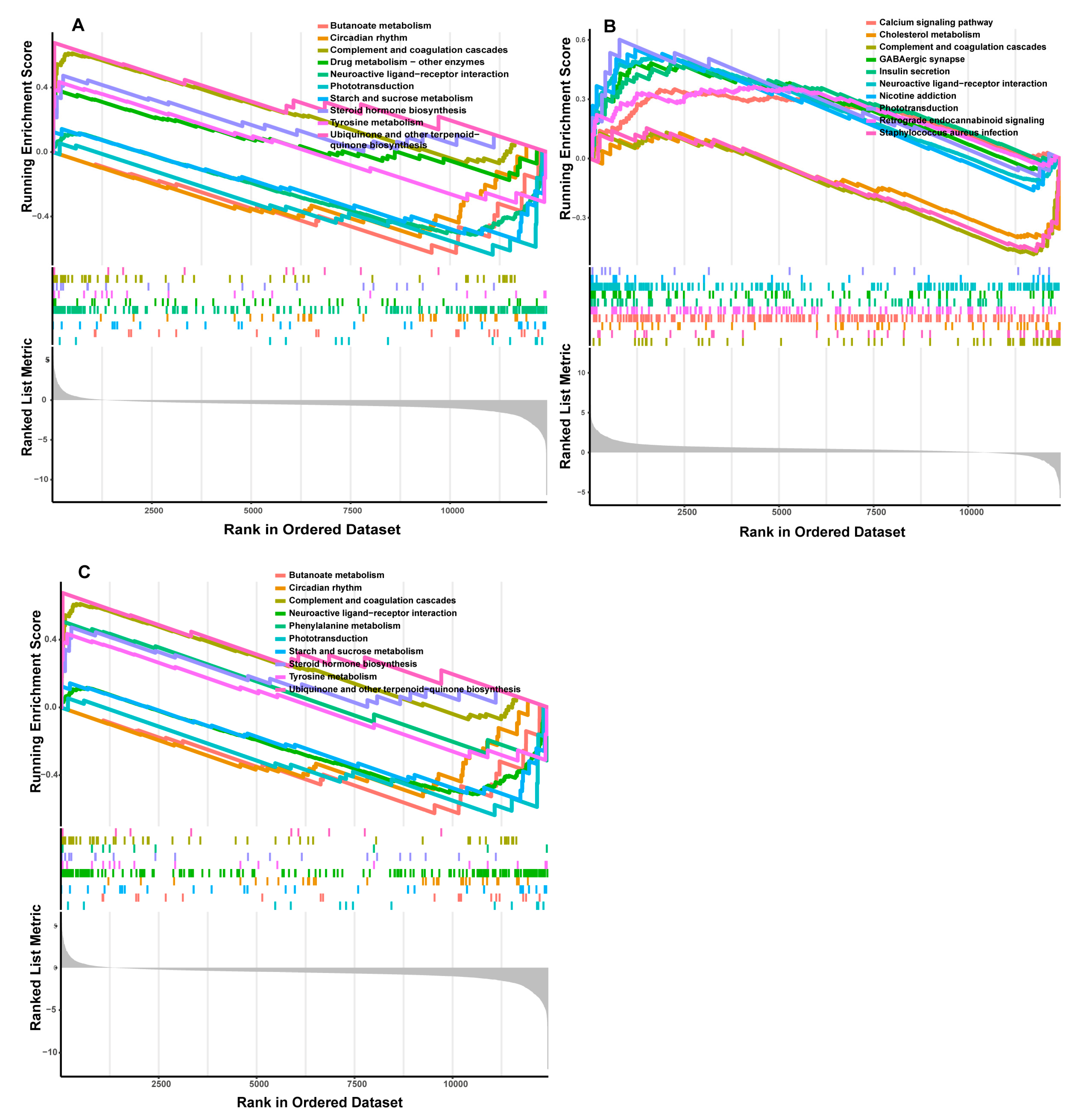 Genes 14 01695 g005 Genes 14 01695 g005