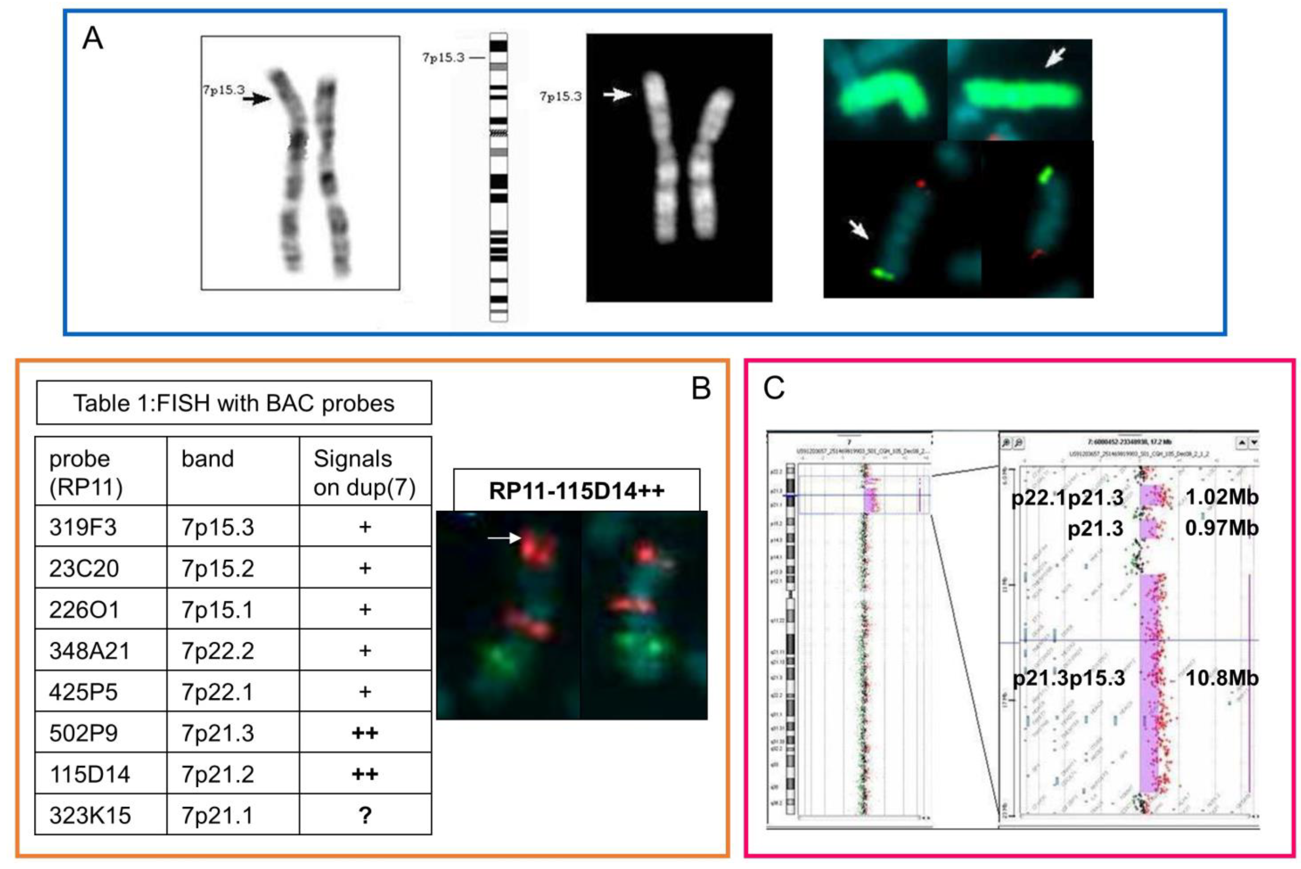 Genes 14 01700 g001 Genes 14 01700 g001