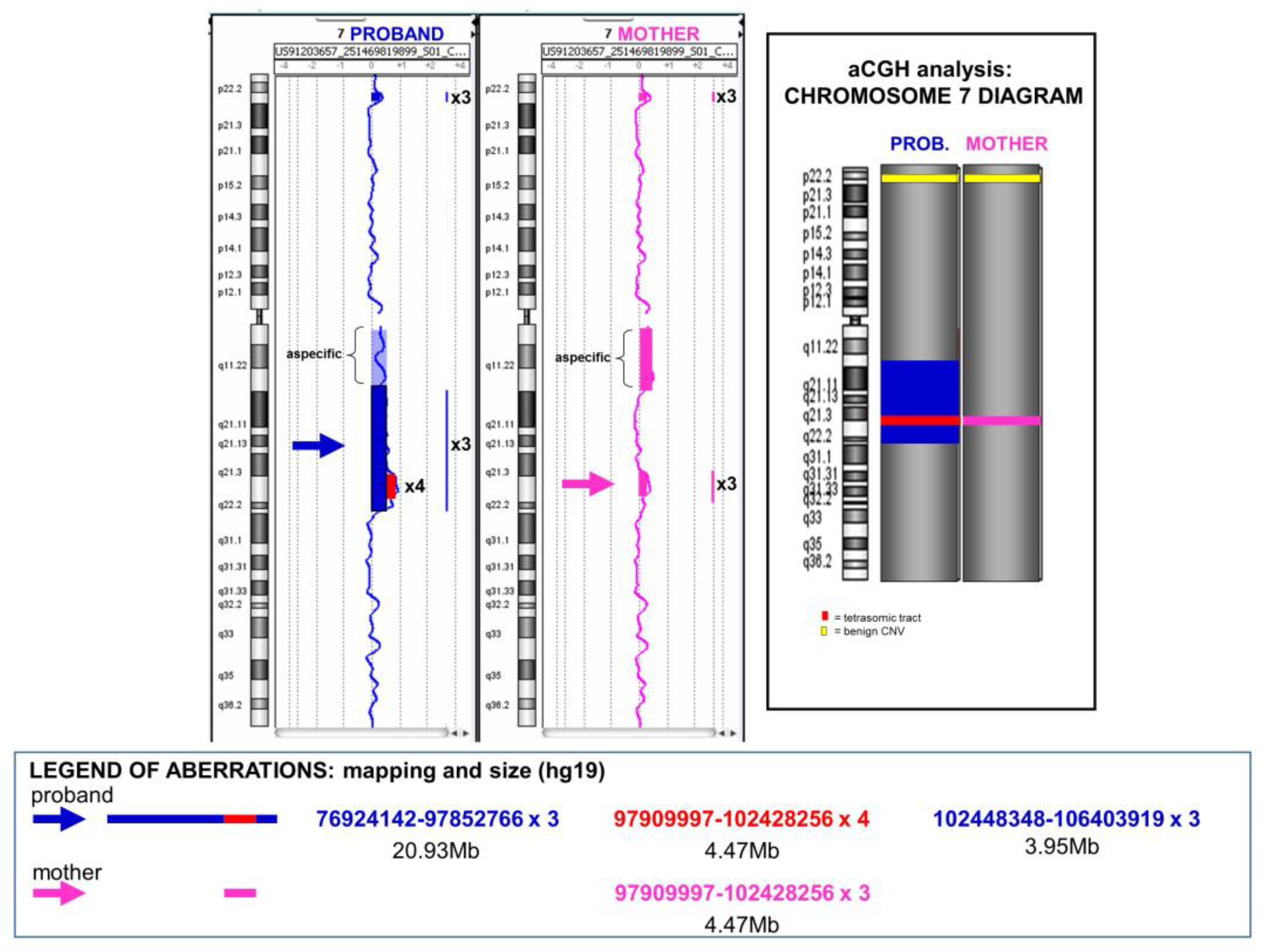 Genes 14 01700 g003 Genes 14 01700 g003