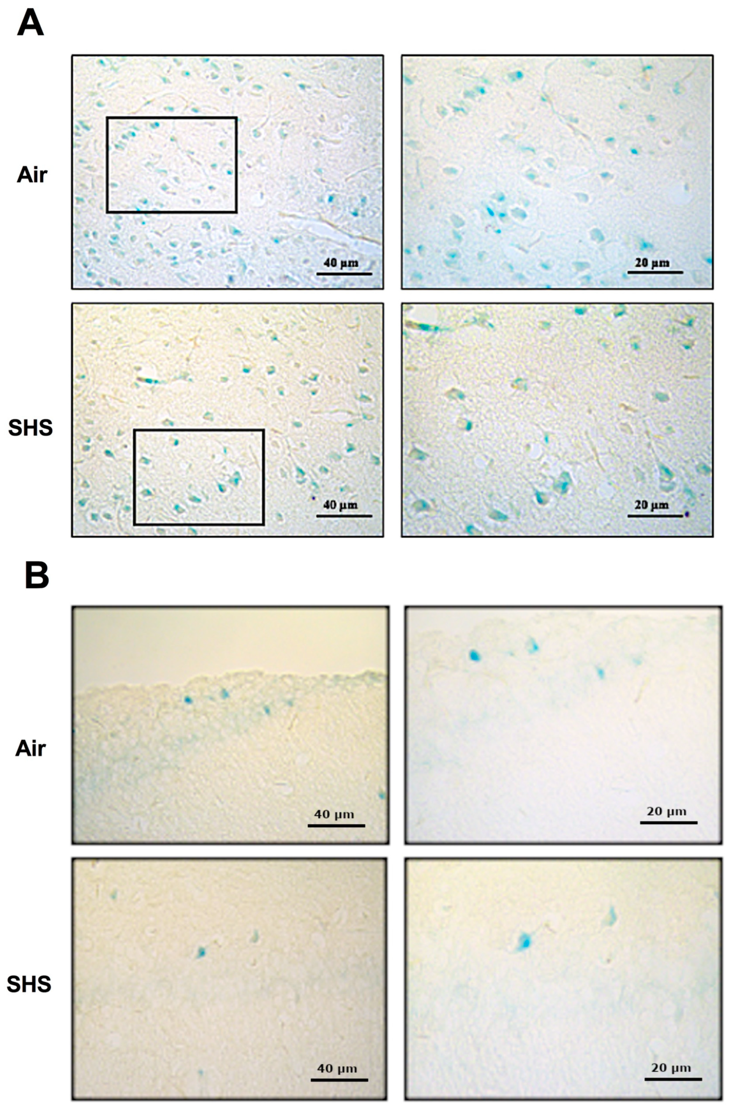 Genes 14 01702 g004 Genes 14 01702 g004
