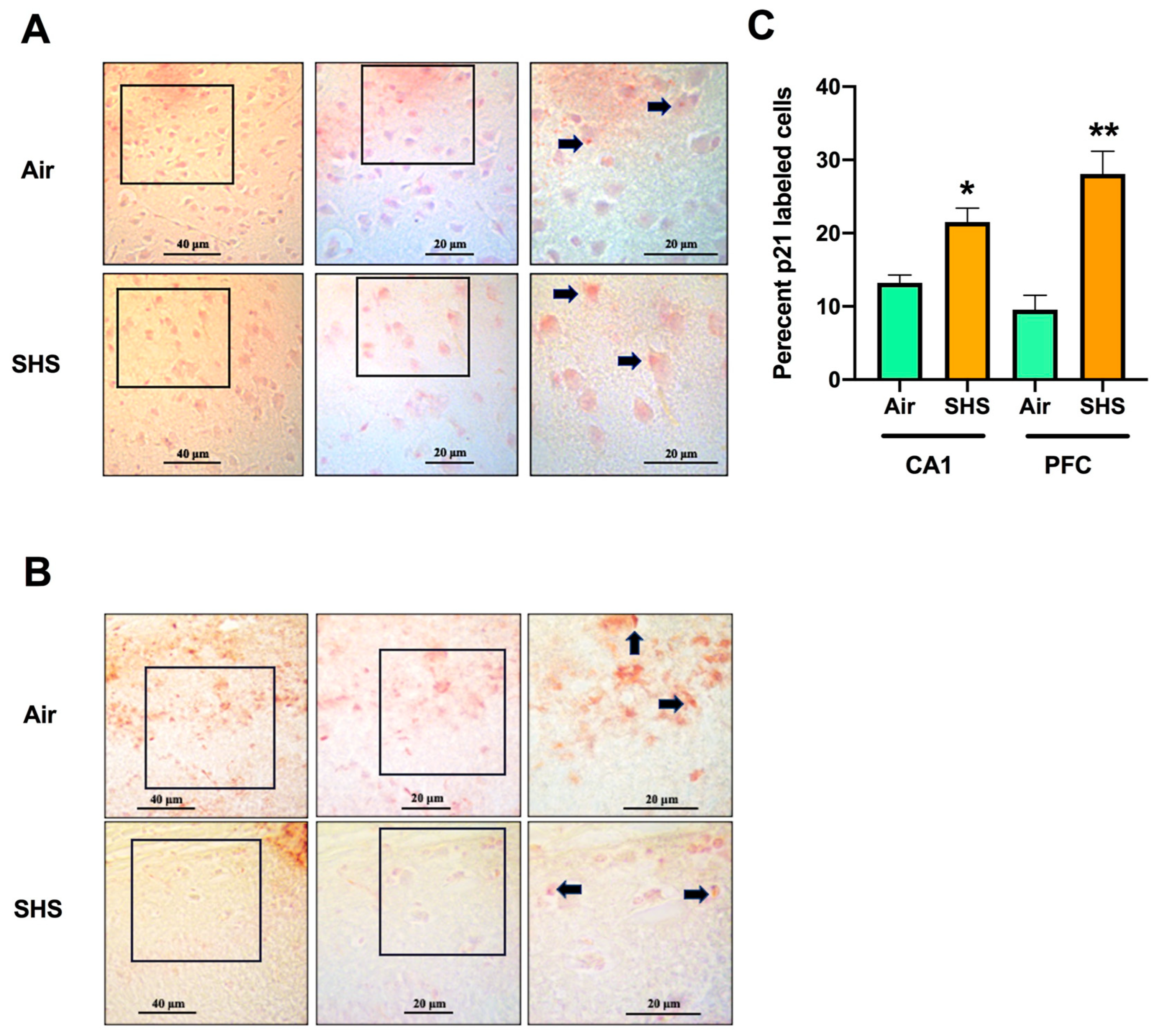 Genes 14 01702 g005 Genes 14 01702 g005