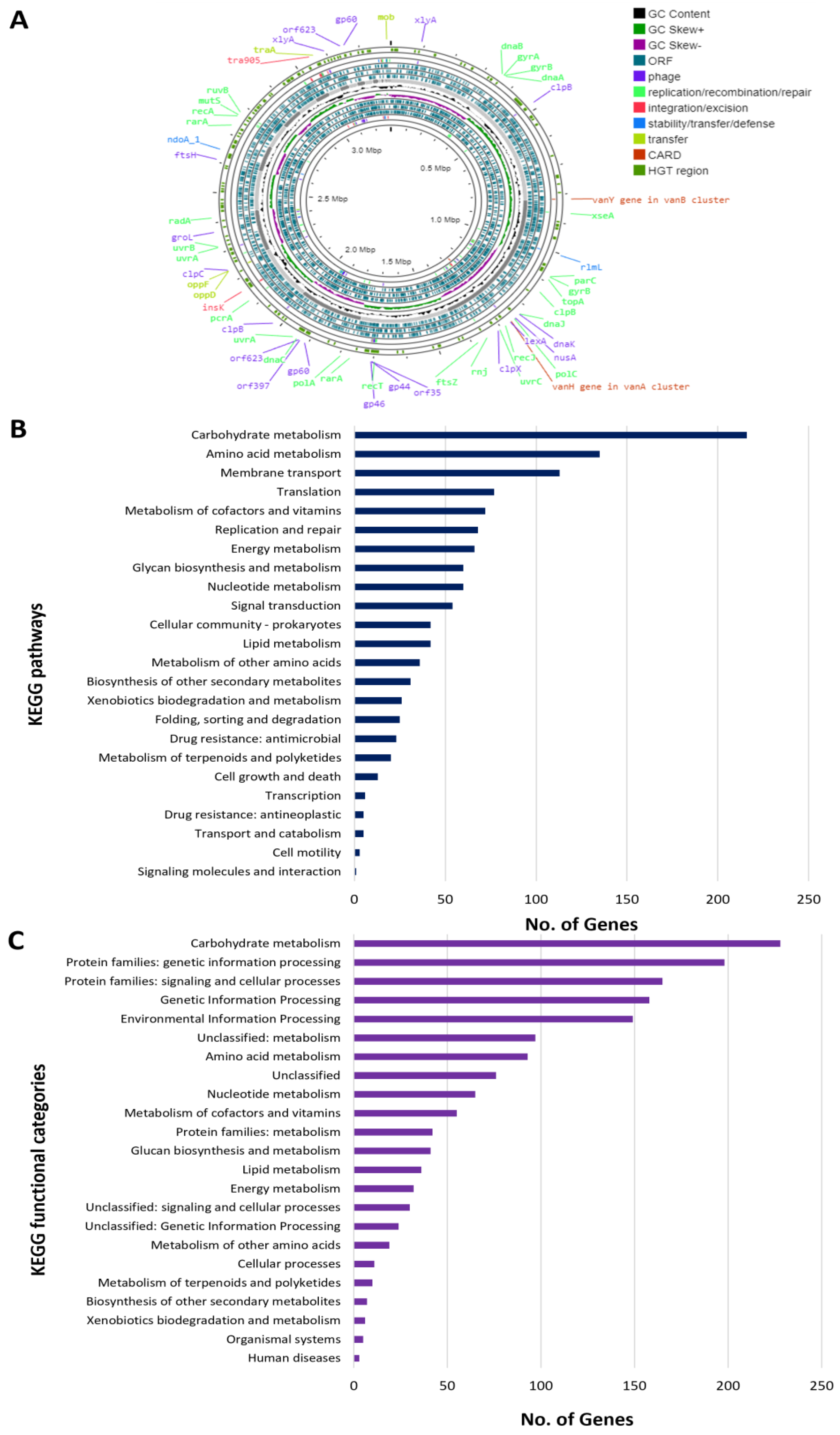 Genes 14 01710 g005