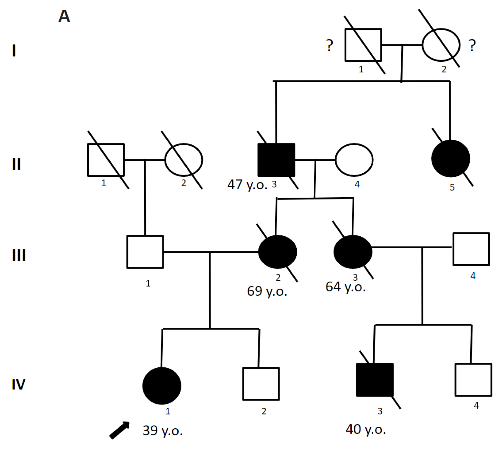 わかりやすい核医学 = Textbook of Clinical Nuclea… わかりやすい核医学 | 玉木長良, 平田健司, 真鍋 治 |本 | 通販
