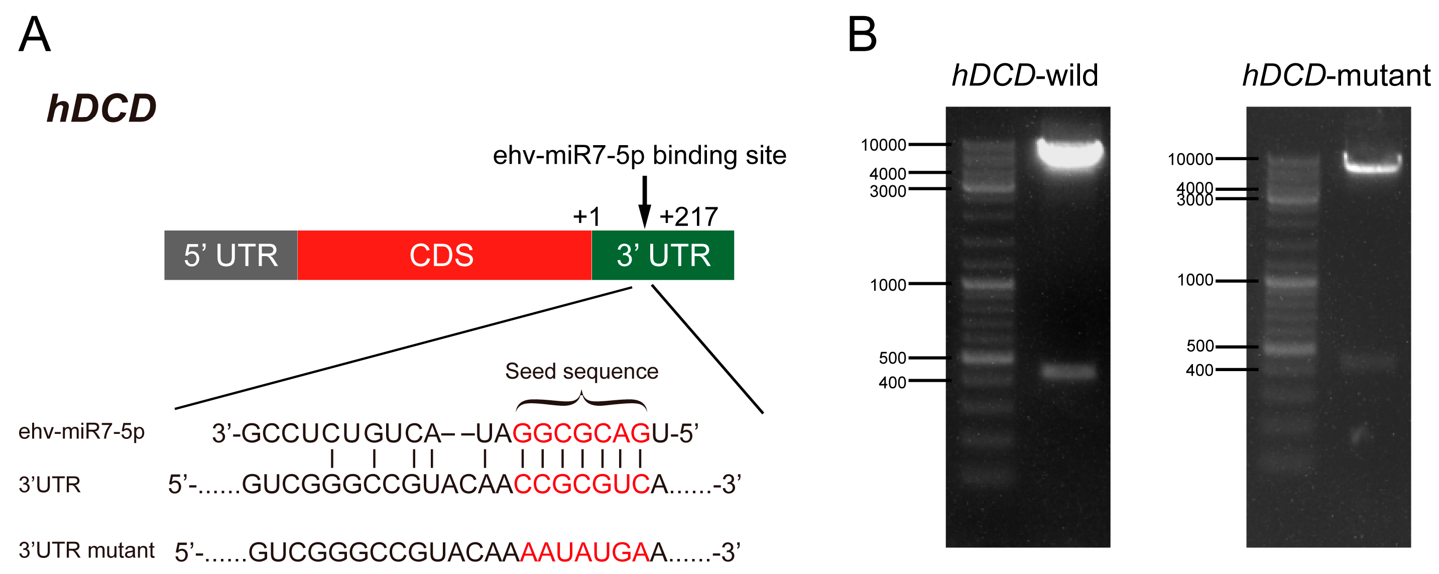 Genes 14 01716 g006