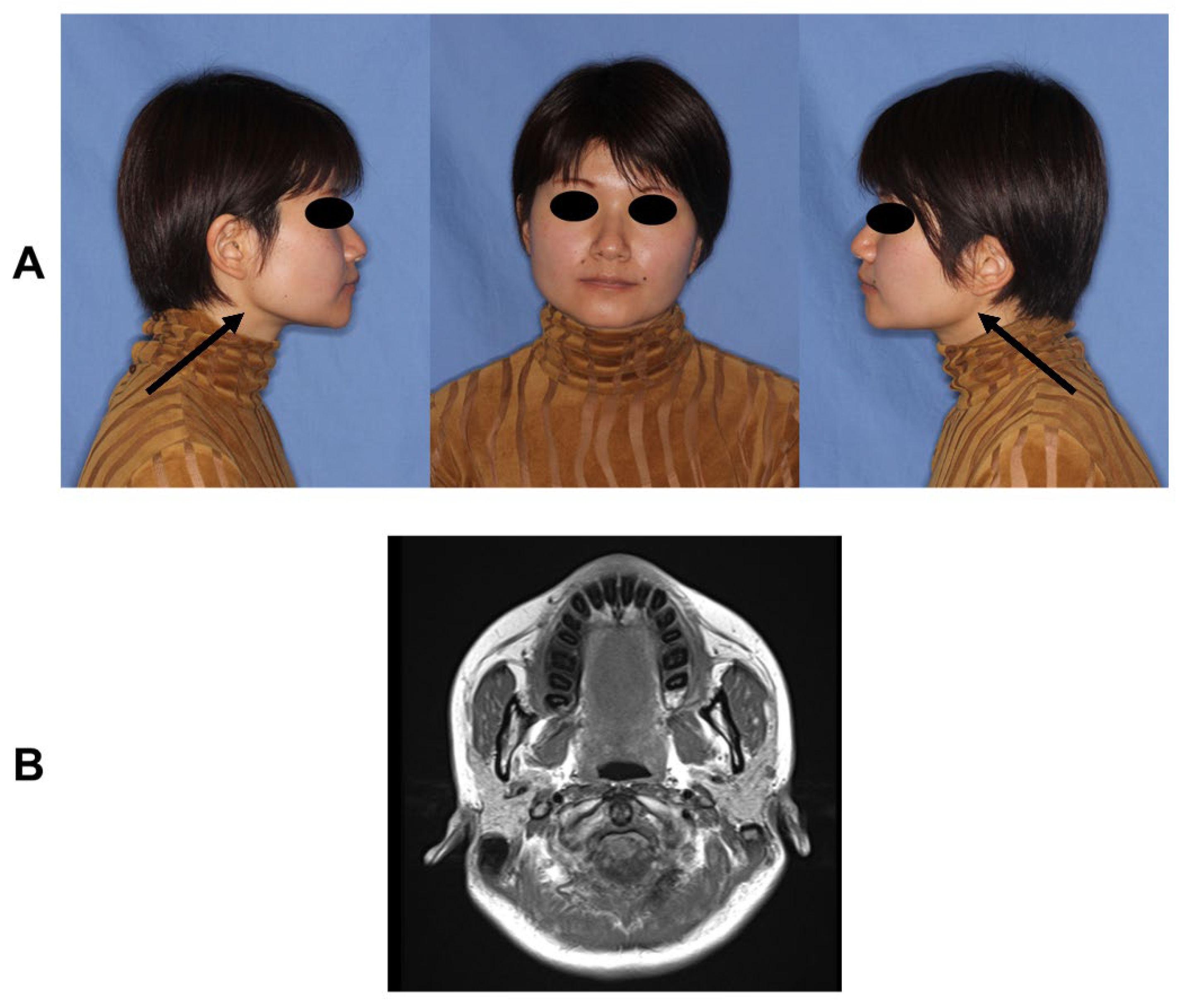 Genes 14 01718 g001 Genes 14 01718 g001