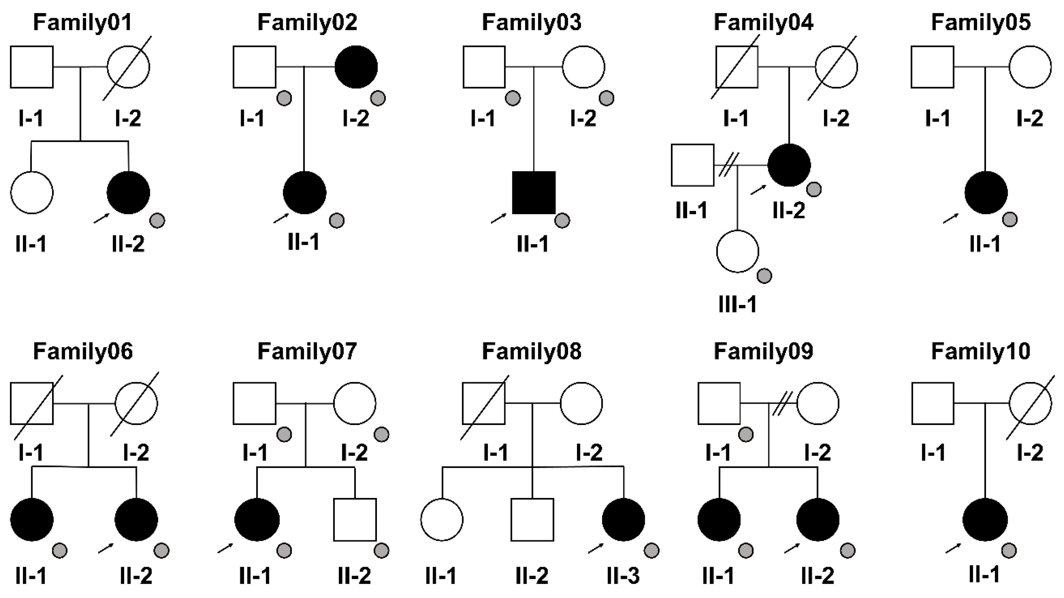 Genes 14 01718 g002 Genes 14 01718 g002