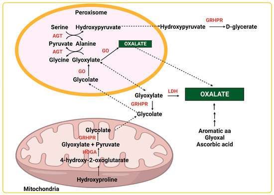 Genes, Free Full-Text