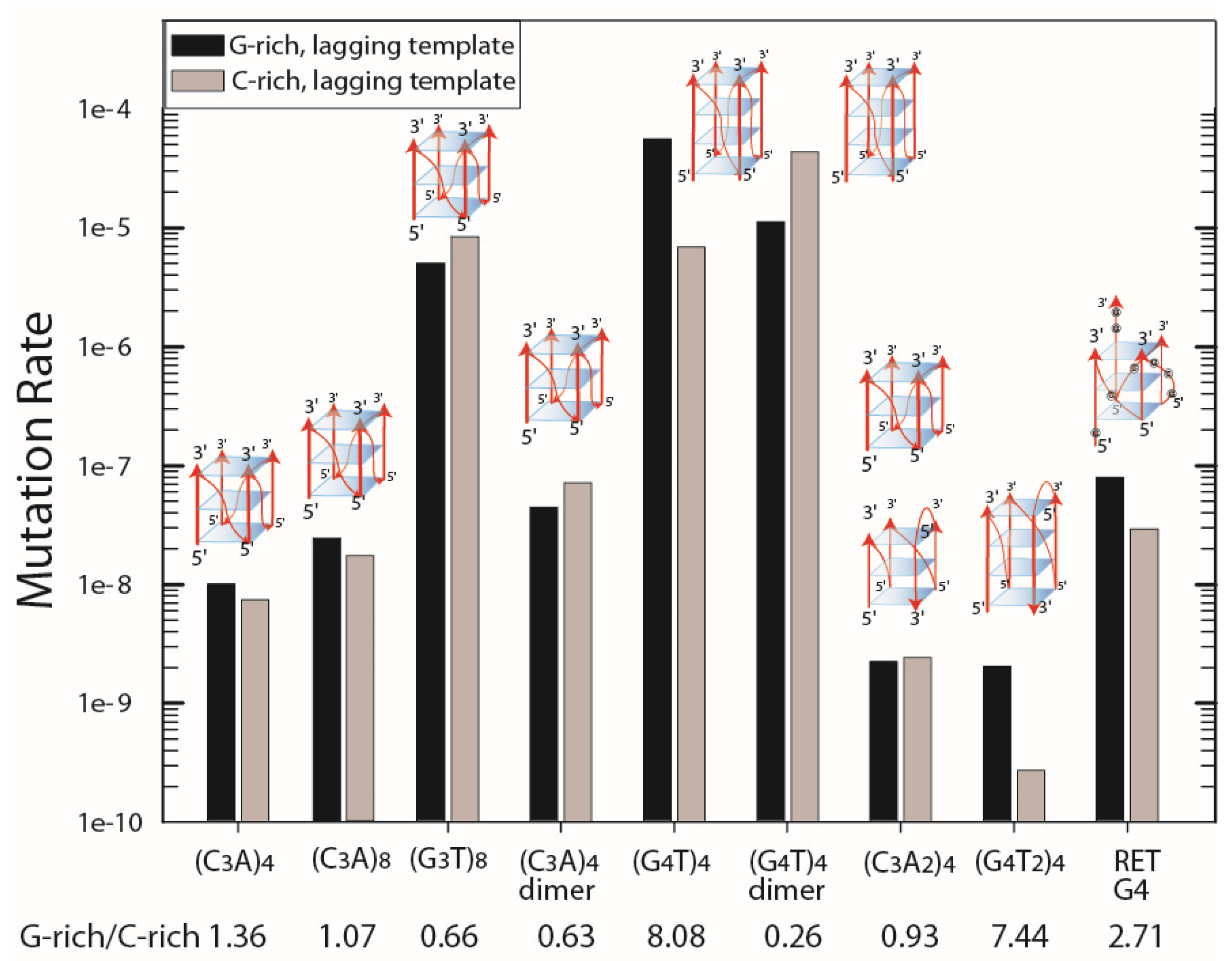 Genes 14 01720 g001 Genes 14 01720 g001