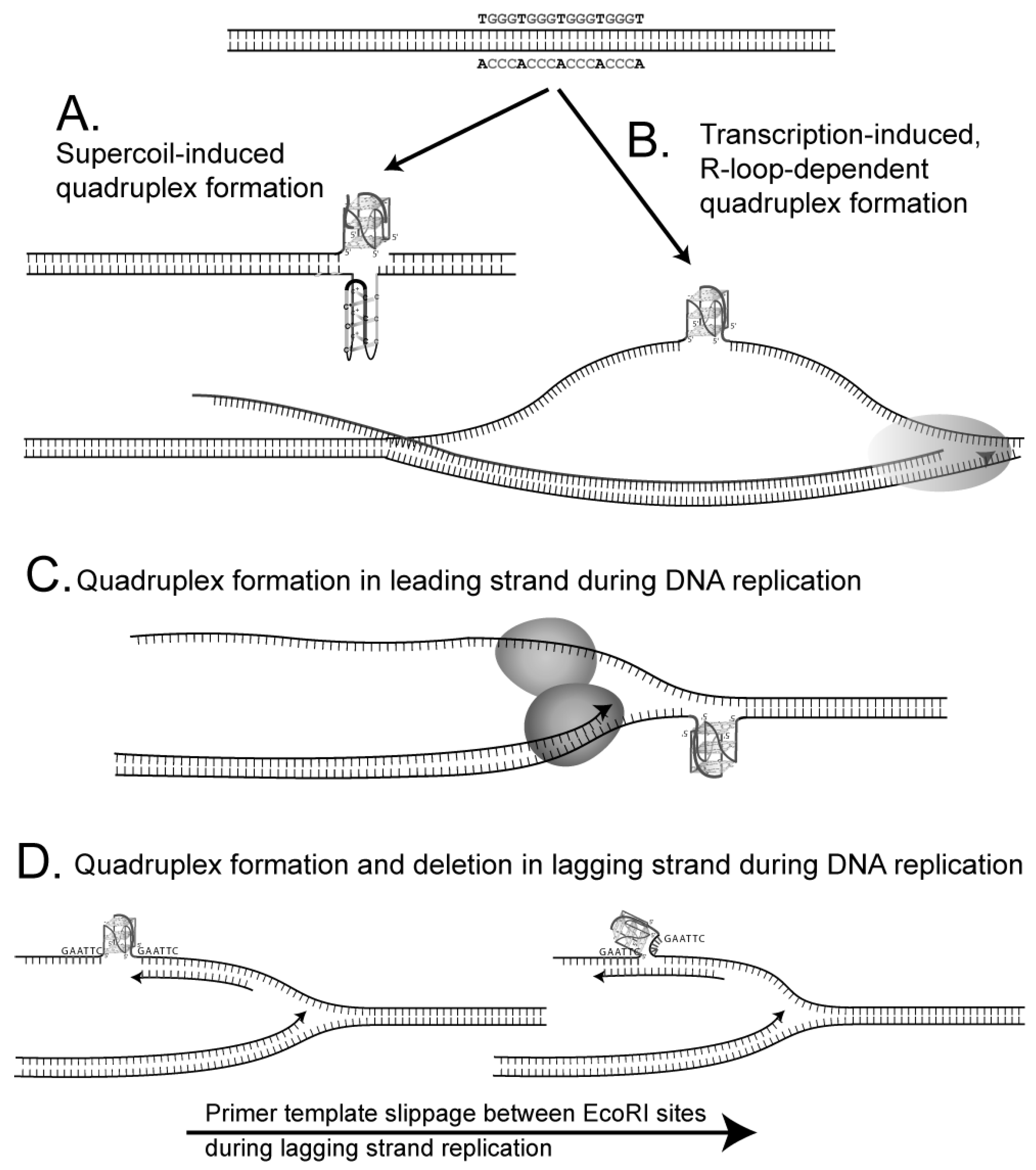 Genes 14 01720 g002 Genes 14 01720 g002