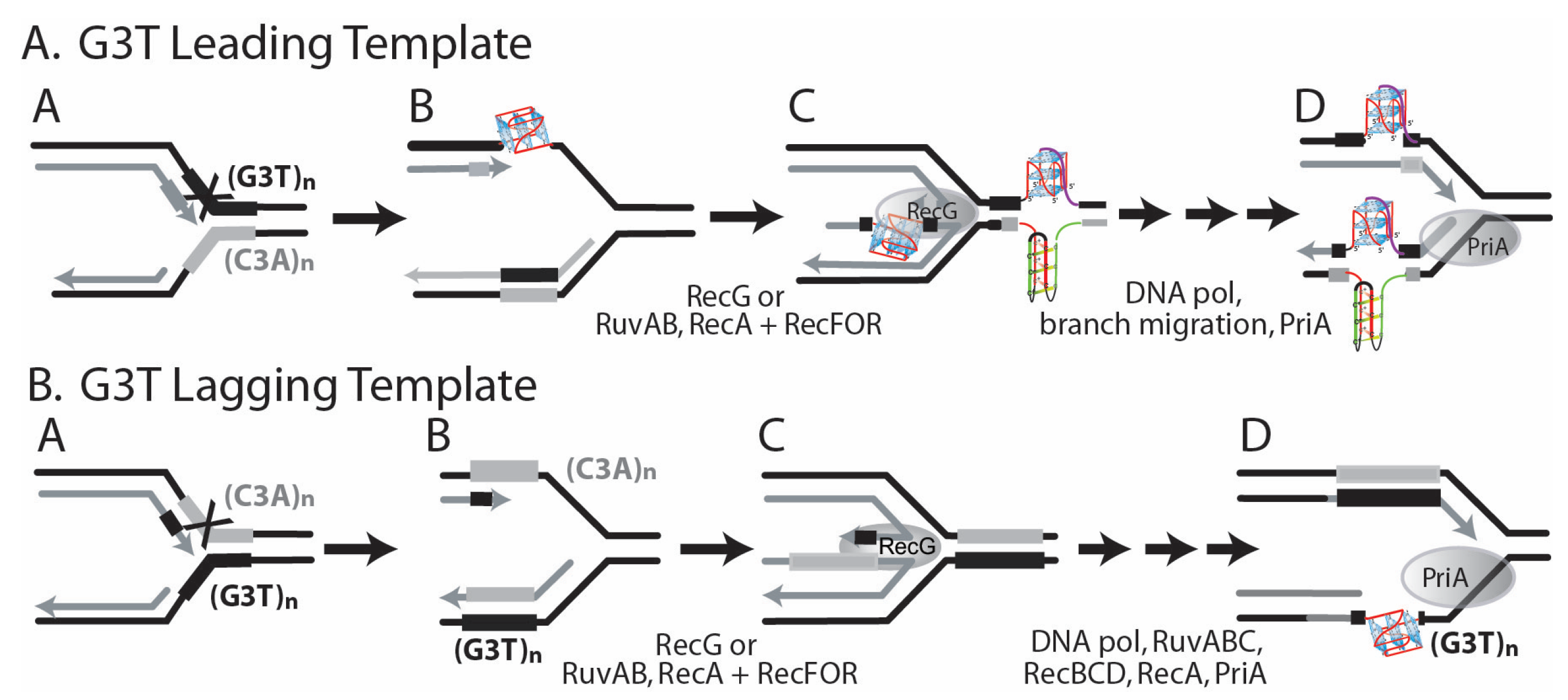 Genes 14 01720 g003 Genes 14 01720 g003