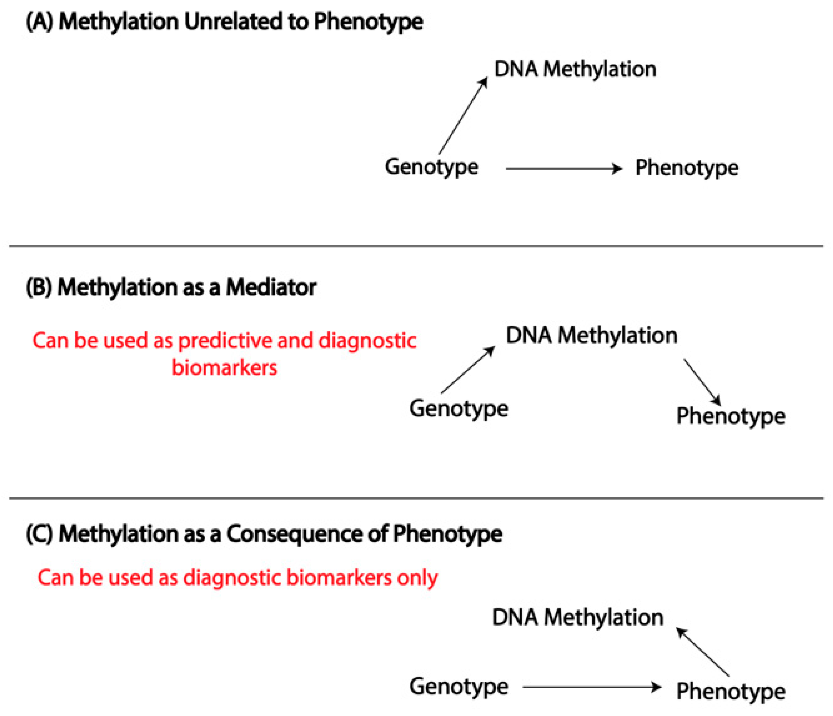 Genes Free FullText A Review of the Clock Emerging