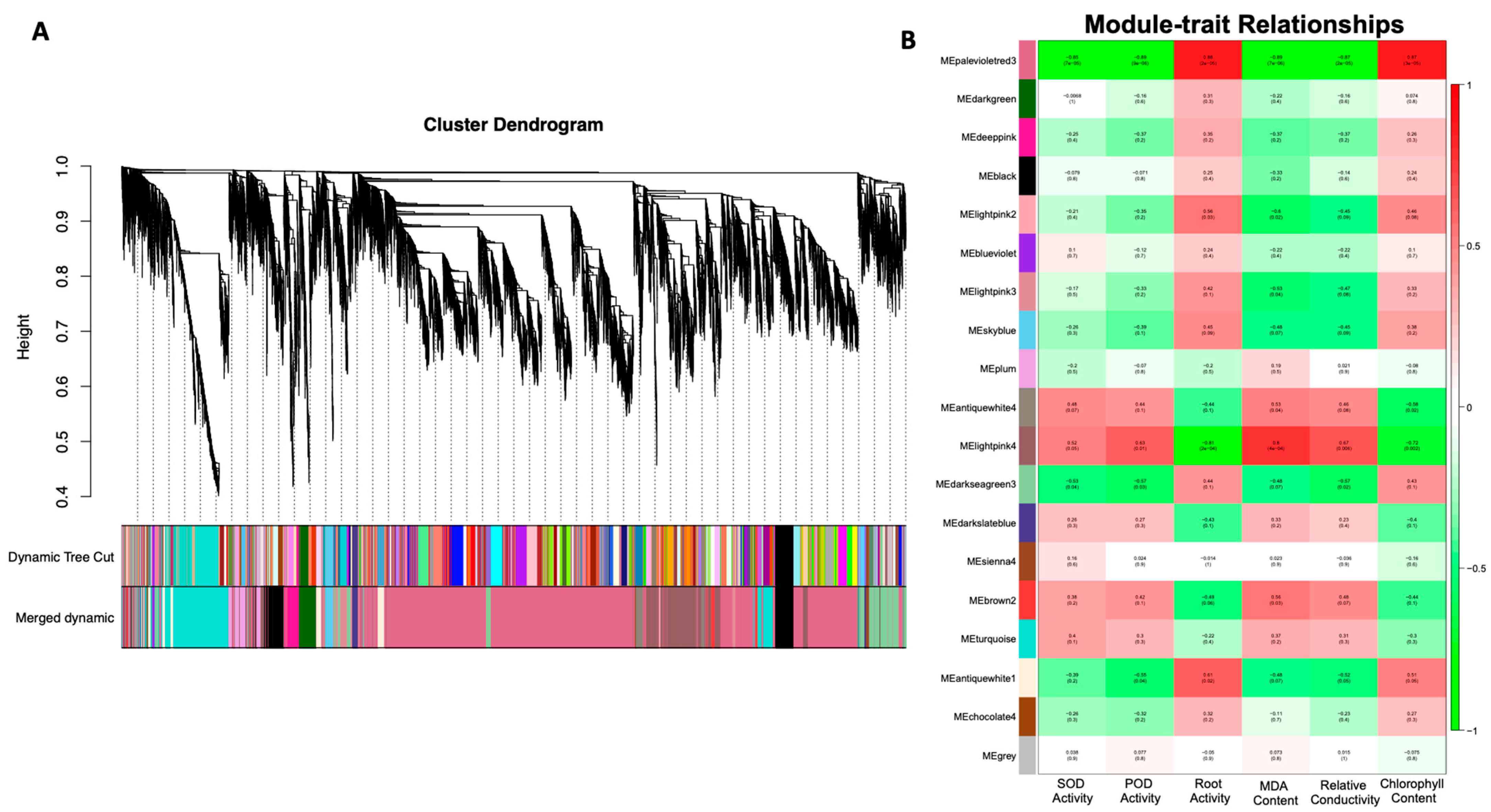 Genes 14 01728 g006